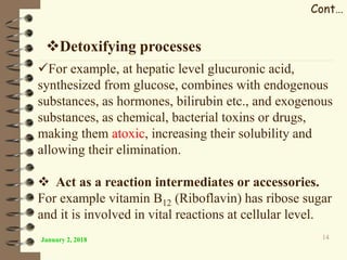 January 2, 2018 14
For example, at hepatic level glucuronic acid,
synthesized from glucose, combines with endogenous
substances, as hormones, bilirubin etc., and exogenous
substances, as chemical, bacterial toxins or drugs,
making them atoxic, increasing their solubility and
allowing their elimination.
 Act as a reaction intermediates or accessories.
For example vitamin B12 (Riboflavin) has ribose sugar
and it is involved in vital reactions at cellular level.
Detoxifying processes
Cont…
 