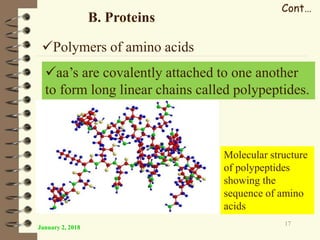 January 2, 2018
17
B. Proteins
Cont…
Polymers of amino acids
aa’s are covalently attached to one another
to form long linear chains called polypeptides.
Molecular structure
of polypeptides
showing the
sequence of amino
acids
 
