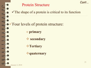 Four levels of protein structure:
 primary
 secondary
Tertiary
quaternary
January 2, 2018
21
Cont…
Protein Structure
The shape of a protein is critical to its function
 
