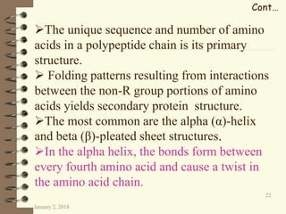 January 2, 2018
22
Cont…
The unique sequence and number of amino
acids in a polypeptide chain is its primary
structure.
 Folding patterns resulting from interactions
between the non-R group portions of amino
acids yields secondary protein structure.
The most common are the alpha (α)-helix
and beta (β)-pleated sheet structures.
In the alpha helix, the bonds form between
every fourth amino acid and cause a twist in
the amino acid chain.
 