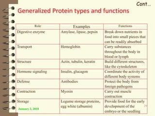January 2, 2018
29
Cont…
Role Examples Functions
Digestive enzyme Amylase, lipase, pepsin Break down nutrients in
food into small pieces that
can be readily absorbed
Transport Hemoglobin Carry substances
throughout the body in
blood or lymph
Structure Actin, tubulin, keratin Build different structures,
like the cytoskeleton
Hormone signaling Insulin, glucagon Coordinate the activity of
different body systems
Defense Antibodies Protect the body from
foreign pathogens
Contraction Myosin Carry out muscle
contraction
Storage Legume storage proteins,
egg white (albumin)
Provide food for the early
development of the
embryo or the seedling
Generalized Protein types and functions
 