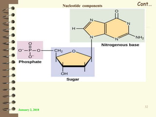 January 2, 2018
32
Cont…Nucleotide components
 