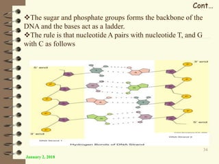 January 2, 2018
34
Cont…
The sugar and phosphate groups forms the backbone of the
DNA and the bases act as a ladder.
The rule is that nucleotide A pairs with nucleotide T, and G
with C as follows
 