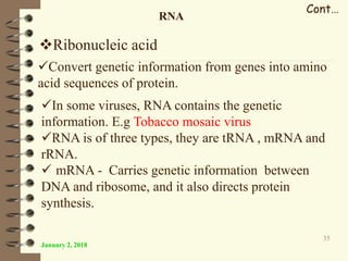 January 2, 2018
35
Cont…
RNA
Ribonucleic acid
Convert genetic information from genes into amino
acid sequences of protein.
In some viruses, RNA contains the genetic
information. E.g Tobacco mosaic virus
RNA is of three types, they are tRNA , mRNA and
rRNA.
 mRNA - Carries genetic information between
DNA and ribosome, and it also directs protein
synthesis.
 