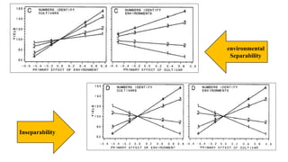 environmental
Separability
Inseparability
 