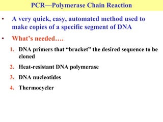 PCR—Polymerase Chain Reaction
• A very quick, easy, automated method used to
make copies of a specific segment of DNA
• What’s needed….
1. DNA primers that “bracket” the desired sequence to be
cloned
2. Heat-resistant DNA polymerase
3. DNA nucleotides
4. Thermocycler
 