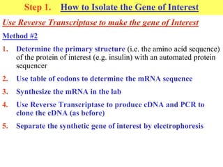 Step 1. How to Isolate the Gene of Interest
Use Reverse Transcriptase to make the gene of Interest
Method #2
1. Determine the primary structure (i.e. the amino acid sequence)
of the protein of interest (e.g. insulin) with an automated protein
sequencer
2. Use table of codons to determine the mRNA sequence
3. Synthesize the mRNA in the lab
4. Use Reverse Transcriptase to produce cDNA and PCR to
clone the cDNA (as before)
5. Separate the synthetic gene of interest by electrophoresis
 