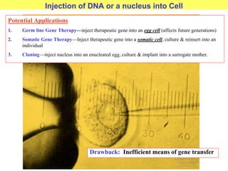 Injection of DNA or a nucleus into Cell
Potential Applications
1. Germ line Gene Therapy—inject therapeutic gene into an egg cell (affects future generations)
2. Somatic Gene Therapy—Inject therapeutic gene into a somatic cell, culture & reinsert into an
individual
3. Cloning—inject nucleus into an enucleated egg, culture & implant into a surrogate mother.
Drawback: Inefficient means of gene transfer
 
