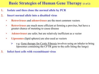 Basic Strategies of Human Gene Therapy (1 of 2)
1. Isolate and then clone the normal allele by PCR
2. Insert normal allele into a disabled virus
• Retroviruses and adenoviruses are the most common vectors
• Retroviruses are much more efficient at forming a provirus, but have a
greater chance of mutating to cause disease
• Adenoviruses are safer, but are relatively inefficient as a vector
• Liposomes (lipid spheres) are also used as vectors
 e.g. Gene therapy for Cystic Fibrosis involves using an inhaler to bring
liposomes containing the CFTR gene to the cells lining the lungs)
3. Infect host cells with recombinant virus
 