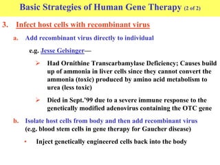 3. Infect host cells with recombinant virus
a. Add recombinant virus directly to individual
e.g. Jesse Gelsinger—
 Had Ornithine Transcarbamylase Deficiency; Causes build
up of ammonia in liver cells since they cannot convert the
ammonia (toxic) produced by amino acid metabolism to
urea (less toxic)
 Died in Sept.’99 due to a severe immune response to the
genetically modified adenovirus containing the OTC gene
b. Isolate host cells from body and then add recombinant virus
(e.g. blood stem cells in gene therapy for Gaucher disease)
• Inject genetically engineered cells back into the body
Basic Strategies of Human Gene Therapy (2 of 2)
 