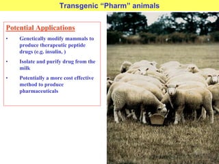 Transgenic “Pharm” animals
Potential Applications
• Genetically modify mammals to
produce therapeutic peptide
drugs (e.g. insulin, )
• Isolate and purify drug from the
milk
• Potentially a more cost effective
method to produce
pharmaceuticals
 