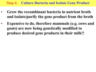 Step 4. Culture Bacteria and Isolate Gene Product
• Grow the recombinant bacteria in nutrient broth
and isolate/purify the...