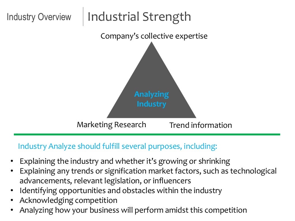 advanced-business-plan-industry-overview-1