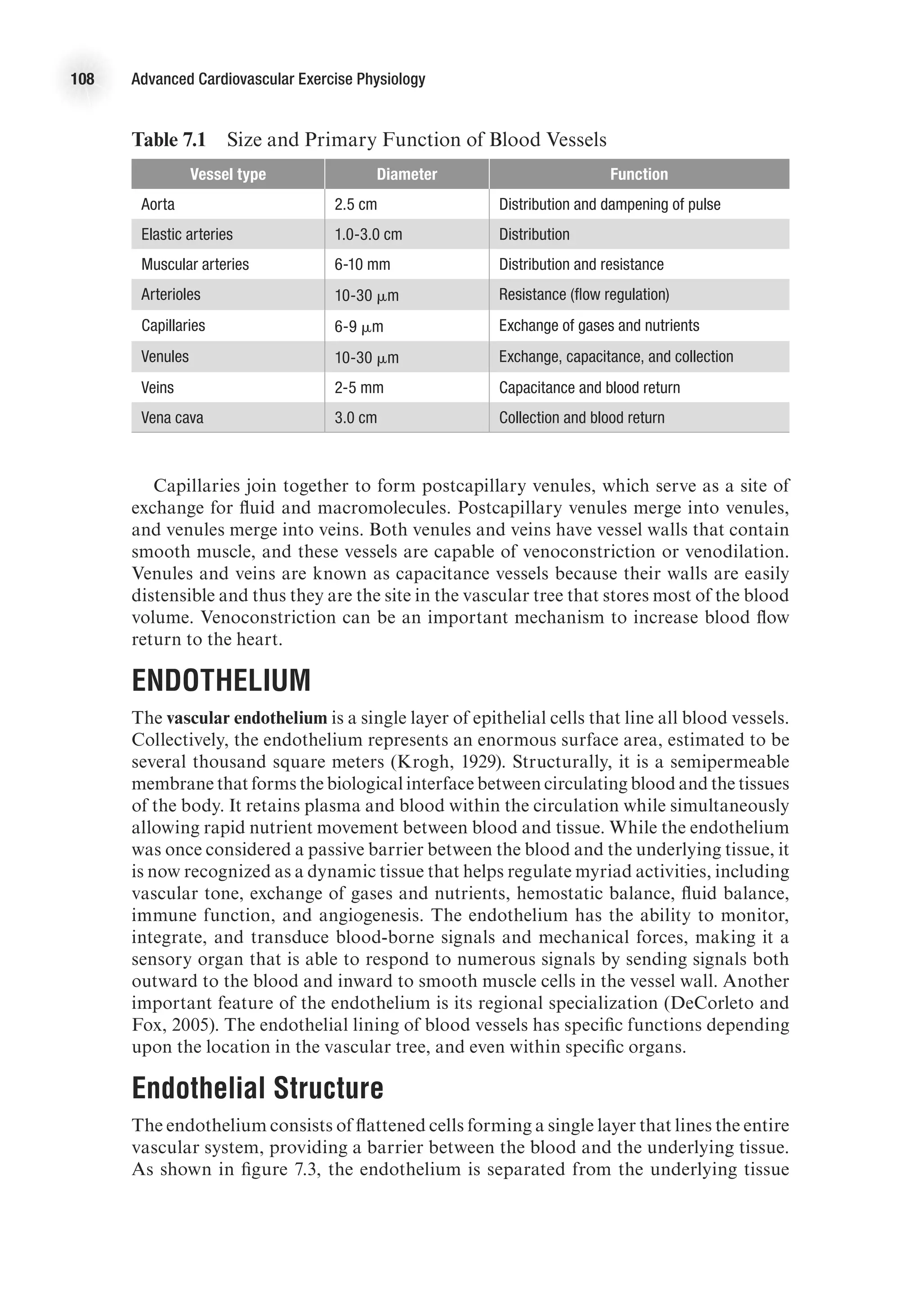 108 Advanced Cardiovascular Exercise Physiology
Capillaries join together to form postcapillary venules, which serve as a site of
exchange for fluid and macromolecules. Postcapillary venules merge into venules,
and venules merge into veins. Both venules and veins have vessel walls that contain
smooth muscle, and these vessels are capable of venoconstriction or venodilation.
Venules and veins are known as capacitance vessels because their walls are easily
distensible and thus they are the site in the vascular tree that stores most of the blood
volume. Venoconstriction can be an important mechanism to increase blood flow
return to the heart.
Endothelium
The vascular endothelium is a single layer of epithelial cells that line all blood vessels.
Collectively, the endothelium represents an enormous surface area, estimated to be
several thousand square meters (Krogh, 1929). Structurally, it is a semipermeable
membrane that forms the biological interface between circulating blood and the tissues
of the body. It retains plasma and blood within the circulation while simultaneously
allowing rapid nutrient movement between blood and tissue. While the endothelium
was once considered a passive barrier between the blood and the underlying tissue, it
is now recognized as a dynamic tissue that helps regulate myriad activities, including
vascular tone, exchange of gases and nutrients, hemostatic balance, fluid balance,
immune function, and angiogenesis. The endothelium has the ability to monitor,
integrate, and transduce blood-borne signals and mechanical forces, making it a
sensory organ that is able to respond to numerous signals by sending signals both
outward to the blood and inward to smooth muscle cells in the vessel wall. Another
important feature of the endothelium is its regional specialization (DeCorleto and
Fox, 2005). The endothelial lining of blood vessels has specific functions depending
upon the location in the vascular tree, and even within specific organs.
Endothelial Structure
The endothelium consists of flattened cells forming a single layer that lines the entire
vascular system, providing a barrier between the blood and the underlying tissue.
As shown in figure 7.3, the endothelium is separated from the underlying tissue
Table 7.1  Size and Primary Function of Blood Vessels
Vessel type Diameter Function
Aorta 2.5 cm Distribution and dampening of pulse
Elastic arteries 1.0-3.0 cm Distribution
Muscular arteries 6-10 mm Distribution and resistance
Arterioles 10-30 mm Resistance (flow regulation)
Capillaries 6-9 mm Exchange of gases and nutrients
Venules 10-30 mm Exchange, capacitance, and collection
Veins 2-5 mm Capacitance and blood return
Vena cava 3.0 cm Collection and blood return
 