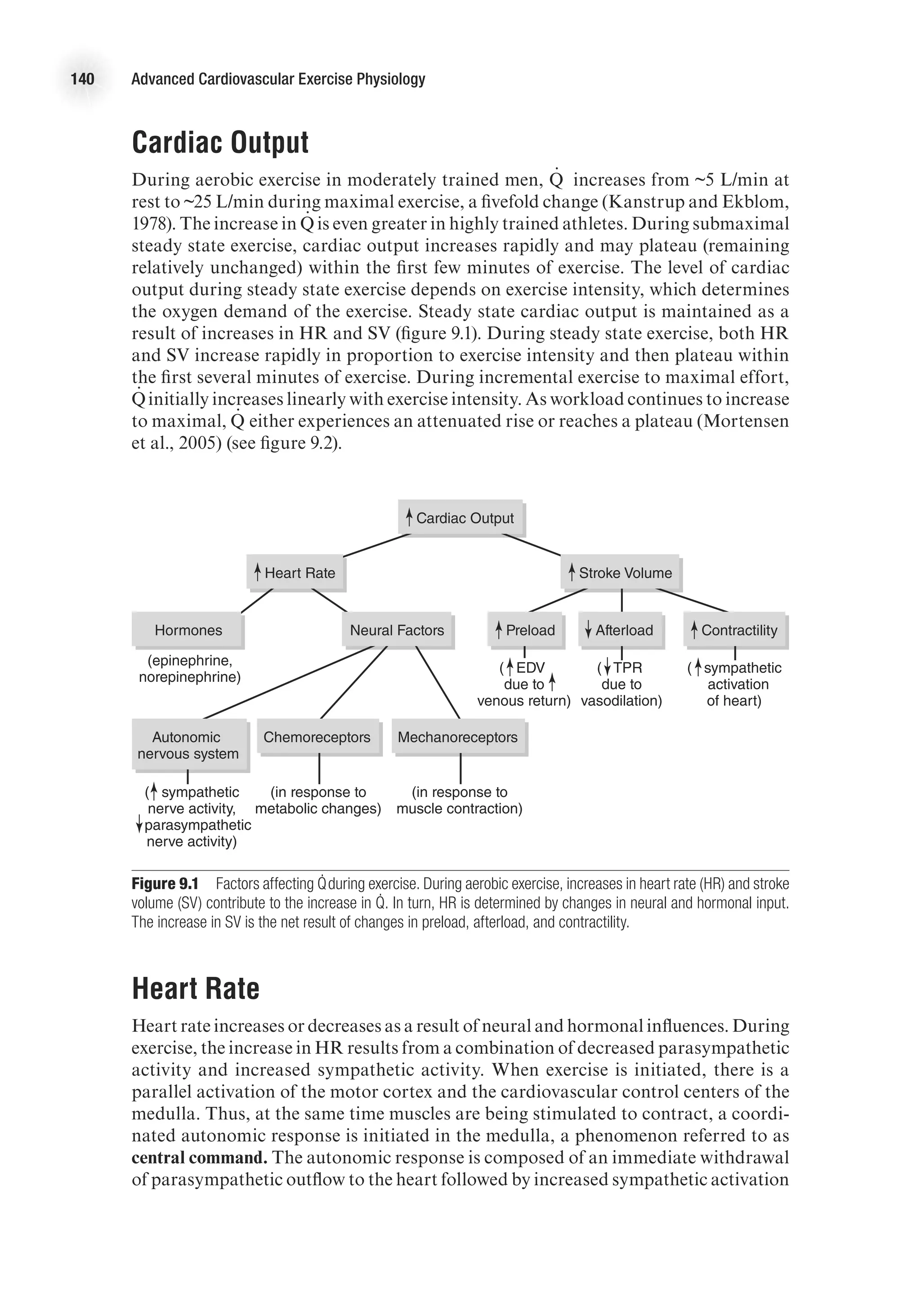 140 Advanced Cardiovascular Exercise Physiology
Cardiac Output
During aerobic exercise in moderately trained men, Q
.
  increases from ~5 L/min at
rest to ~25 L/min during maximal exercise, a fivefold change (Kanstrup and Ekblom,
1978). The increase in Q
.
  is even greater in highly trained athletes. During submaximal
steady state exercise, cardiac output increases rapidly and may plateau (remaining
relatively unchanged) within the first few minutes of exercise. The level of cardiac
output during steady state exercise depends on exercise intensity, which determines
the oxygen demand of the exercise. Steady state cardiac output is maintained as a
result of increases in HR and SV (figure 9.1). During steady state exercise, both HR
and SV increase rapidly in proportion to exercise intensity and then plateau within
the first several minutes of exercise. During incremental exercise to maximal effort,
Q
.
  initially increases linearly with exercise intensity. As workload continues to increase
to maximal, Q
.
  either experiences an attenuated rise or reaches a plateau (Mortensen
et al., 2005) (see figure 9.2).
Cardiac Output
Heart Rate Stroke Volume
Neural Factors
Hormones
Autonomic
nervous system
Chemoreceptors Mechanoreceptors
( sympathetic
nerve activity,
parasympathetic
nerve activity)
( EDV
due to
venous return)
( sympathetic
activation
of heart)
( TPR
due to
vasodilation)
(in response to
metabolic changes)
(in response to
muscle contraction)
Preload Afterload Contractility
(epinephrine,
norepinephrine)
E4414/Smith/Fig. 9.1/350016/RR/R2
Figure 9.1  Factors affecting Q
.
during exercise. During aerobic exercise, increases in heart rate (HR) and stroke
volume (SV) contribute to the increase in Q
.
. In turn, HR is determined by changes in neural and hormonal input.
The increase in SV is the net result of changes in preload, afterload, and contractility.
Heart Rate
Heart rate increases or decreases as a result of neural and hormonal influences. During
exercise, the increase in HR results from a combination of decreased parasympathetic
activity and increased sympathetic activity. When exercise is initiated, there is a
parallel activation of the motor cortex and the cardiovascular control centers of the
medulla. Thus, at the same time muscles are being stimulated to contract, a coordi-
nated autonomic response is initiated in the medulla, a phenomenon referred to as
central command. The autonomic response is composed of an immediate withdrawal
of parasympathetic outflow to the heart followed by increased sympathetic activation
 