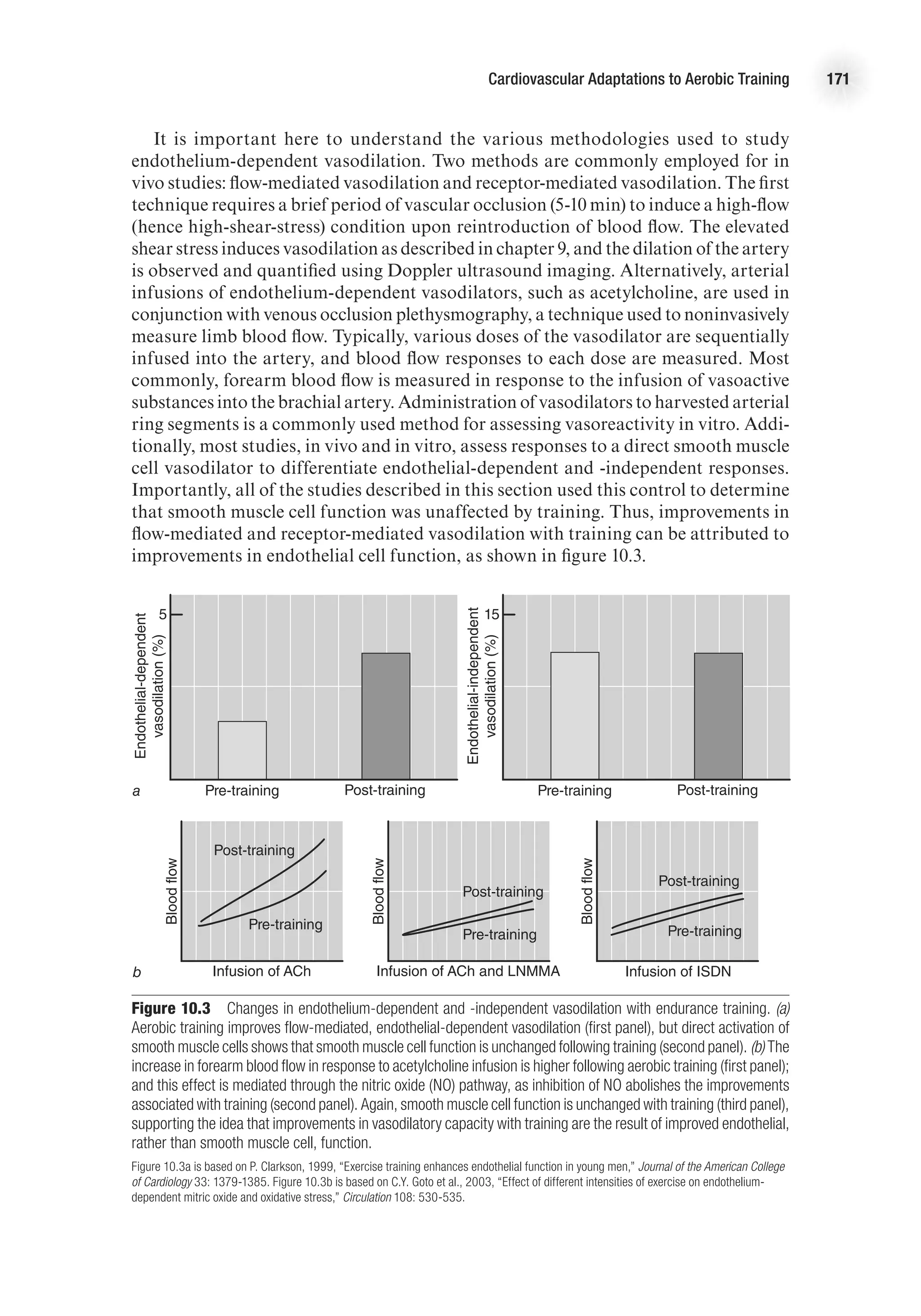Cardiovascular Adaptations to Aerobic Training 171
It is important here to understand the various methodologies used to study
endothelium-dependent vasodilation. Two methods are commonly employed for in
vivo studies: flow-mediated vasodilation and receptor-mediated vasodilation. The first
technique requires a brief period of vascular occlusion (5-10 min) to induce a high-flow
(hence high-shear-stress) condition upon reintroduction of blood flow. The elevated
shear stress induces vasodilation as described in chapter 9, and the dilation of the artery
is observed and quantified using Doppler ultrasound imaging. Alternatively, arterial
infusions of endothelium-dependent vasodilators, such as acetylcholine, are used in
conjunction with venous occlusion plethysmography, a technique used to noninvasively
measure limb blood flow. Typically, various doses of the vasodilator are sequentially
infused into the artery, and blood flow responses to each dose are measured. Most
commonly, forearm blood flow is measured in response to the infusion of vasoactive
substances into the brachial artery. Administration of vasodilators to harvested arterial
ring segments is a commonly used method for assessing vasoreactivity in vitro. Addi-
tionally, most studies, in vivo and in vitro, assess responses to a direct smooth muscle
cell vasodilator to differentiate endothelial-dependent and -independent responses.
Importantly, all of the studies described in this section used this control to determine
that smooth muscle cell function was unaffected by training. Thus, improvements in
flow-mediated and receptor-mediated vasodilation with training can be attributed to
improvements in endothelial cell function, as shown in figure 10.3.
E4414/Smith/fig10.3b/350042/alw/r3
b
Infusion of ACh
Blood
flow
Post-training
Pre-training
Infusion of ACh and LNMMA
Blood
flow
Infusion of ISDN
Blood
flow
Pre-training
Post-training
Post-training
Pre-training
Figure 10.3  Changes in endothelium-dependent and -independent vasodilation with endurance training. (a)
Aerobic training improves flow-mediated, endothelial-dependent vasodilation (first panel), but direct activation of
smooth muscle cells shows that smooth muscle cell function is unchanged following training (second panel). (b) The
increase in forearm blood flow in response to acetylcholine infusion is higher following aerobic training (first panel);
and this effect is mediated through the nitric oxide (NO) pathway, as inhibition of NO abolishes the improvements
associated with training (second panel). Again, smooth muscle cell function is unchanged with training (third panel),
supporting the idea that improvements in vasodilatory capacity with training are the result of improved endothelial,
rather than smooth muscle cell, function.
Figure 10.3a is based on P. Clarkson, 1999, “Exercise training enhances endothelial function in young men,” Journal of the American College
of Cardiology 33: 1379-1385. Figure 10.3b is based on C.Y. Goto et al., 2003, “Effect of different intensities of exercise on endothelium-
dependent mitric oxide and oxidative stress,” Circulation 108: 530-535.
E4414/Smith/fig10.3a/350041/alw/r3
Endothelial-dependent
vasodilation
(%)
Post-training
Pre-training
a
Endothelial-independent
vasodilation
(%)
Post-training
Pre-training
5 15
E4414/Smith/fig10.3a/350041/alw/r3
Endothelial-dependent
vasodilation
(%)
Post-training
Pre-training
a
Endothelial-independent
vasodilation
(%)
Post-training
Pre-training
5 15
E4414/Smith/fig10.3b/350042/alw/r3
b
Infusion of ACh
Blood
flow
Post-training
Pre-training
Infusion of ACh and LNMMA
Blood
flow
Infusion of ISDN
Blood
flow
Pre-training
Post-training
Post-training
Pre-training
 