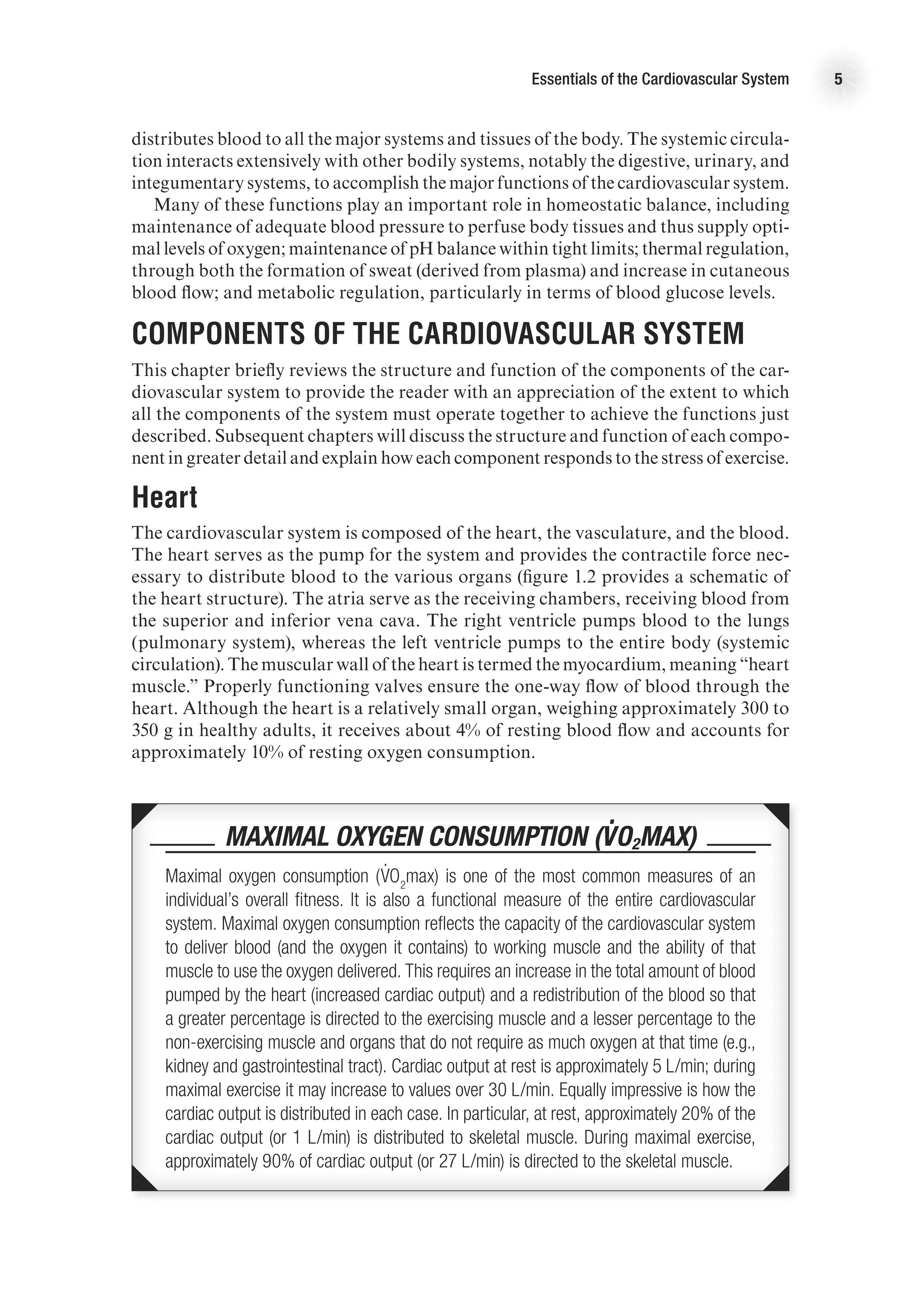 Essentials of the Cardiovascular System 5
distributes blood to all the major systems and tissues of the body. The systemic circula-
tion interacts extensively with other bodily systems, notably the digestive, urinary, and
integumentary systems, to accomplish the major functions of the cardiovascular system.
Many of these functions play an important role in homeostatic balance, including
maintenance of adequate blood pressure to perfuse body tissues and thus supply opti-
mal levels of oxygen; maintenance of pH balance within tight limits; thermal regulation,
through both the formation of sweat (derived from plasma) and increase in cutaneous
blood flow; and metabolic regulation, particularly in terms of blood glucose levels.
Components of the Cardiovascular System
This chapter briefly reviews the structure and function of the components of the car-
diovascular system to provide the reader with an appreciation of the extent to which
all the components of the system must operate together to achieve the functions just
described. Subsequent chapters will discuss the structure and function of each compo-
nent in greater detail and explain how each component responds to the stress of exercise.
Heart
The cardiovascular system is composed of the heart, the vasculature, and the blood.
The heart serves as the pump for the system and provides the contractile force nec-
essary to distribute blood to the various organs (figure 1.2 provides a schematic of
the heart structure). The atria serve as the receiving chambers, receiving blood from
the superior and inferior vena cava. The right ventricle pumps blood to the lungs
(pulmonary system), whereas the left ventricle pumps to the entire body (systemic
circulation). The muscular wall of the heart is termed the myocardium, meaning “heart
muscle.” Properly functioning valves ensure the one-way flow of blood through the
heart. Although the heart is a relatively small organ, weighing approximately 300 to
350 g in healthy adults, it receives about 4% of resting blood flow and accounts for
approximately 10% of resting oxygen consumption.
 