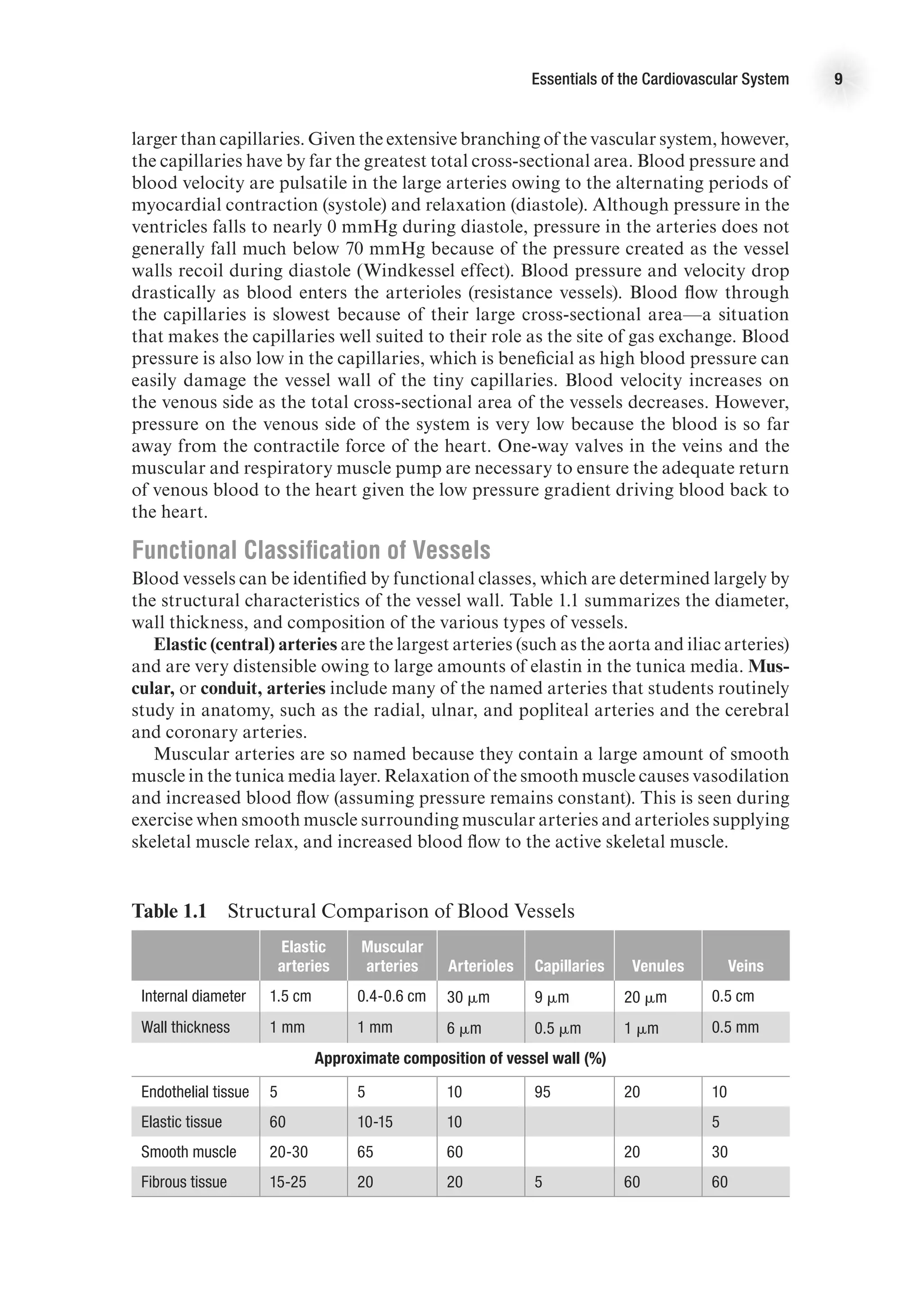 Essentials of the Cardiovascular System 9
larger than capillaries. Given the extensive branching of the vascular system, however,
the capillaries have by far the greatest total cross-sectional area. Blood pressure and
blood velocity are pulsatile in the large arteries owing to the alternating periods of
myocardial contraction (systole) and relaxation (diastole). Although pressure in the
ventricles falls to nearly 0 mmHg during diastole, pressure in the arteries does not
generally fall much below 70 mmHg because of the pressure created as the vessel
walls recoil during diastole (Windkessel effect). Blood pressure and velocity drop
drastically as blood enters the arterioles (resistance vessels). Blood flow through
the capillaries is slowest because of their large cross-sectional area—a situation
that makes the capillaries well suited to their role as the site of gas exchange. Blood
pressure is also low in the capillaries, which is beneficial as high blood pressure can
easily damage the vessel wall of the tiny capillaries. Blood velocity increases on
the venous side as the total cross-sectional area of the vessels decreases. However,
pressure on the venous side of the system is very low because the blood is so far
away from the contractile force of the heart. One-way valves in the veins and the
muscular and respiratory muscle pump are necessary to ensure the adequate return
of venous blood to the heart given the low pressure gradient driving blood back to
the heart.
Functional Classification of Vessels
Blood vessels can be identified by functional classes, which are determined largely by
the structural characteristics of the vessel wall. Table 1.1 summarizes the diameter,
wall thickness, and composition of the various types of vessels.
Elastic (central) arteries are the largest arteries (such as the aorta and iliac arteries)
and are very distensible owing to large amounts of elastin in the tunica media. Mus-
cular, or conduit, arteries include many of the named arteries that students routinely
study in anatomy, such as the radial, ulnar, and popliteal arteries and the cerebral
and coronary arteries.
Muscular arteries are so named because they contain a large amount of smooth
muscle in the tunica media layer. Relaxation of the smooth muscle causes vasodilation
and increased blood flow (assuming pressure remains constant). This is seen during
exercise when smooth muscle surrounding muscular arteries and arterioles supplying
skeletal muscle relax, and increased blood flow to the active skeletal muscle.
Table 1.1  Structural Comparison of Blood Vessels
Elastic
arteries
Muscular
arteries Arterioles Capillaries Venules Veins
Internal diameter 1.5 cm 0.4-0.6 cm 30 mm 9 mm 20 mm 0.5 cm
Wall thickness 1 mm 1 mm 6 mm 0.5 mm 1 mm 0.5 mm
Approximate composition of vessel wall (%)
Endothelial tissue 5 5 10 95 20 10
Elastic tissue 60 10-15 10 5
Smooth muscle 20-30 65 60 20 30
Fibrous tissue 15-25 20 20 5 60 60
 