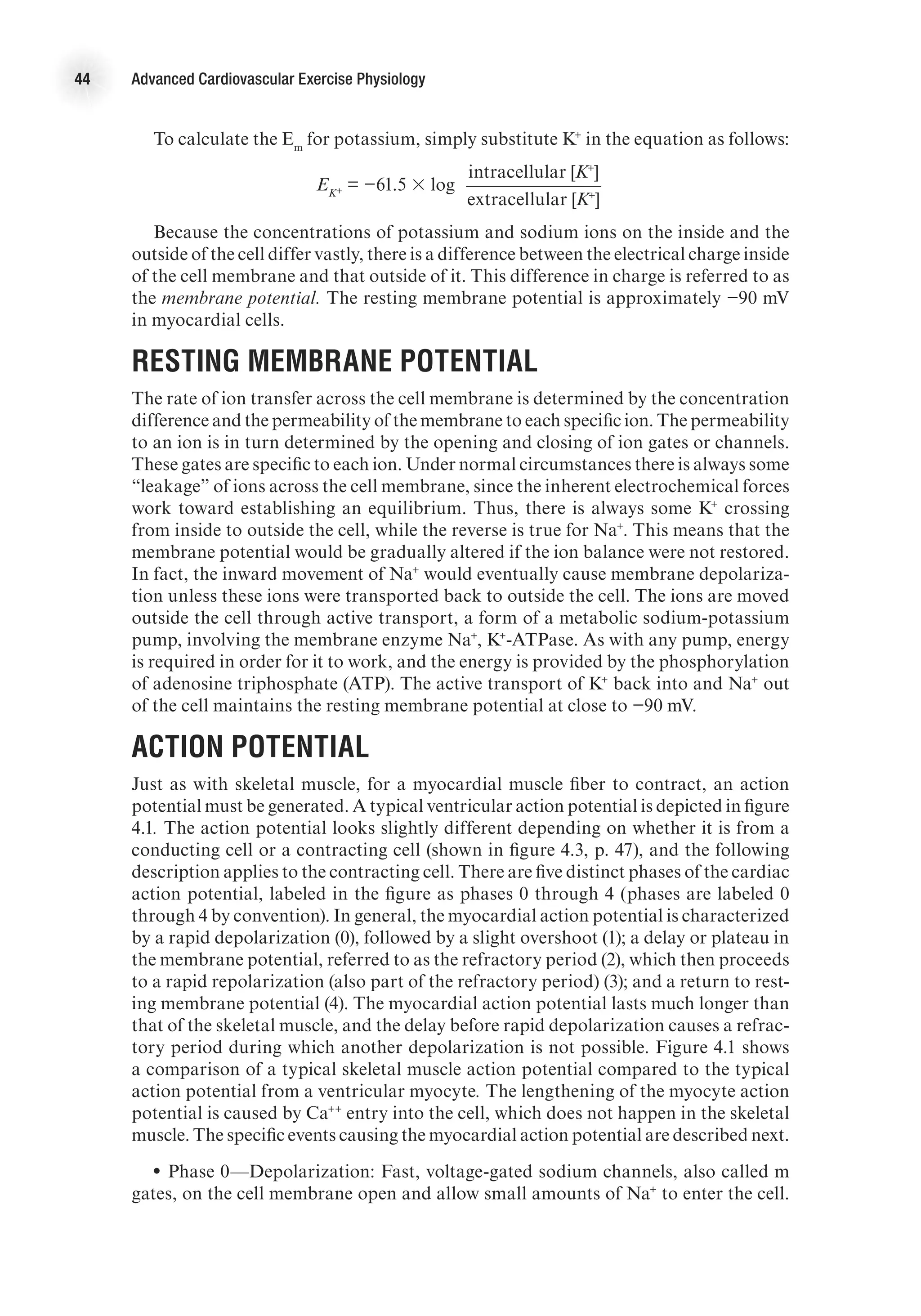 44 Advanced Cardiovascular Exercise Physiology
To calculate the Em
for potassium, simply substitute K+
in the equation as follows:
	
EK+ = −61.5 3 log
	 intracellular [K+
]
		 extracellular [K+
]
Because the concentrations of potassium and sodium ions on the inside and the
outside of the cell differ vastly, there is a difference between the electrical charge inside
of the cell membrane and that outside of it. This difference in charge is referred to as
the membrane potential. The resting membrane potential is approximately −90 mV
in myocardial cells.
Resting Membrane Potential
The rate of ion transfer across the cell membrane is determined by the concentration
difference and the permeability of the membrane to each specific ion. The permeability
to an ion is in turn determined by the opening and closing of ion gates or channels.
These gates are specific to each ion. Under normal circumstances there is always some
“leakage” of ions across the cell membrane, since the inherent electrochemical forces
work toward establishing an equilibrium. Thus, there is always some K+
crossing
from inside to outside the cell, while the reverse is true for Na+
. This means that the
membrane potential would be gradually altered if the ion balance were not restored.
In fact, the inward movement of Na+
would eventually cause membrane depolariza-
tion unless these ions were transported back to outside the cell. The ions are moved
outside the cell through active transport, a form of a metabolic sodium-potassium
pump, involving the membrane enzyme Na+
, K+
-ATPase. As with any pump, energy
is required in order for it to work, and the energy is provided by the phosphorylation
of adenosine triphosphate (ATP). The active transport of K+
back into and Na+
out
of the cell maintains the resting membrane potential at close to −90 mV.
Action Potential
Just as with skeletal muscle, for a myocardial muscle fiber to contract, an action
potential must be generated. A typical ventricular action potential is depicted in figure
4.1. The action potential looks slightly different depending on whether it is from a
conducting cell or a contracting cell (shown in figure 4.3, p. 47), and the following
description applies to the contracting cell. There are five distinct phases of the cardiac
action potential, labeled in the figure as phases 0 through 4 (phases are labeled 0
through 4 by convention). In general, the myocardial action potential is characterized
by a rapid depolarization (0), followed by a slight overshoot (1); a delay or plateau in
the membrane potential, referred to as the refractory period (2), which then proceeds
to a rapid repolarization (also part of the refractory period) (3); and a return to rest-
ing membrane potential (4). The myocardial action potential lasts much longer than
that of the skeletal muscle, and the delay before rapid depolarization causes a refrac-
tory period during which another depolarization is not possible. Figure 4.1 shows
a comparison of a typical skeletal muscle action potential compared to the typical
action potential from a ventricular myocyte. The lengthening of the myocyte action
potential is caused by Ca++
entry into the cell, which does not happen in the skeletal
muscle. The specific events causing the myocardial action potential are described next.
•
• Phase 0—Depolarization: Fast, voltage-gated sodium channels, also called m
gates, on the cell membrane open and allow small amounts of Na+
to enter the cell.
 