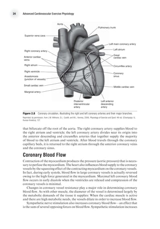 Advanced cardiovascular exercites | PDF