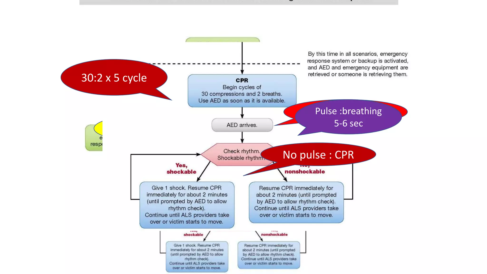 Advanced Cardiovascular Life Support (ACLS).pptx