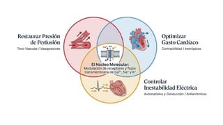 Agentes Inotropicos Farmacología Cardiovascular: Agentes Vasopresores e Inotrópicos en el ...