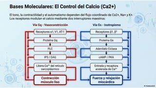 Agentes Inotropicos Farmacología Cardiovascular: Agentes Vasopresores e Inotrópicos en el ...