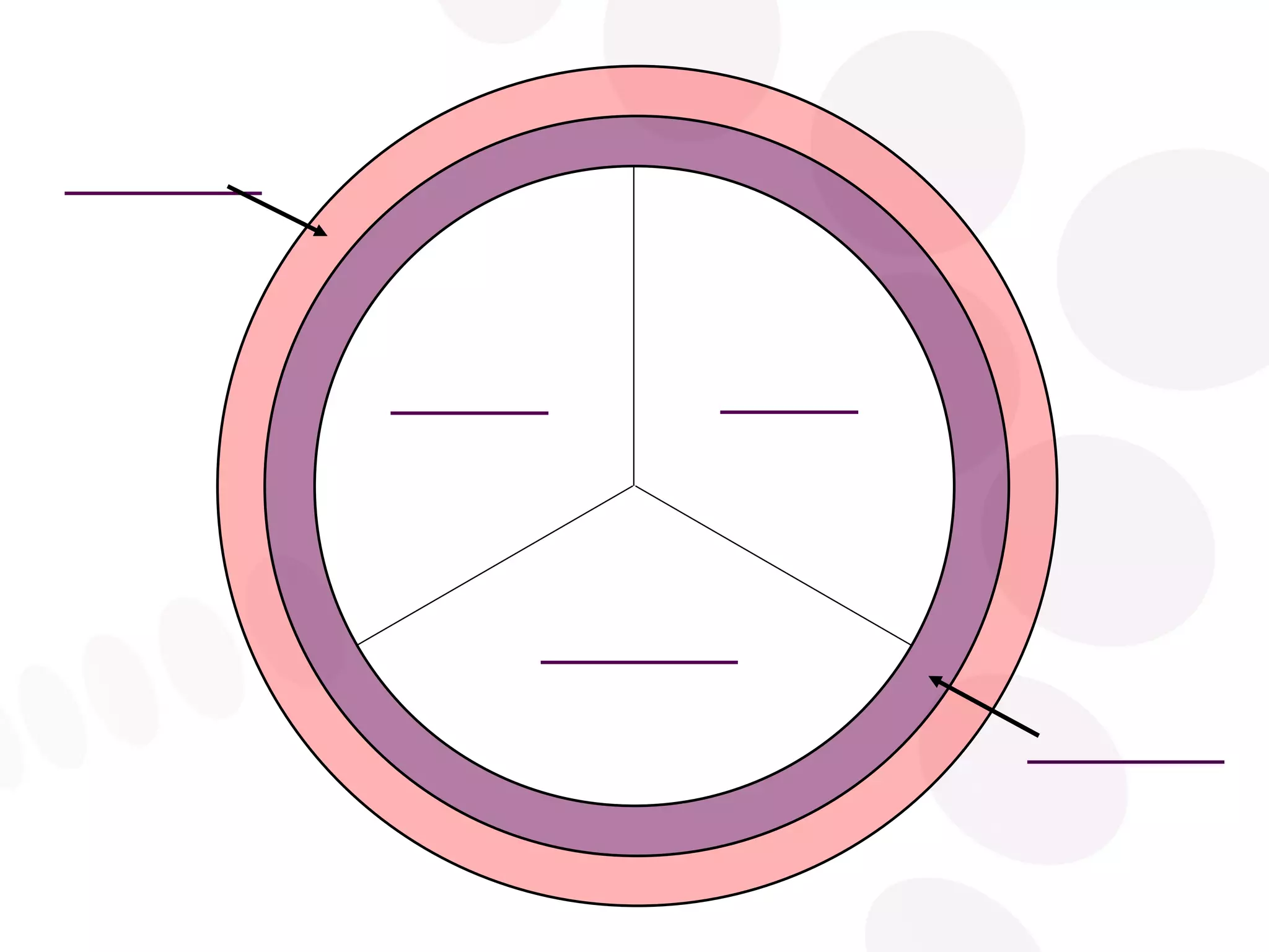 ________ __________ __________ _______ __________ 