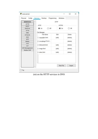 (m) on the HTTP services in DNS
 