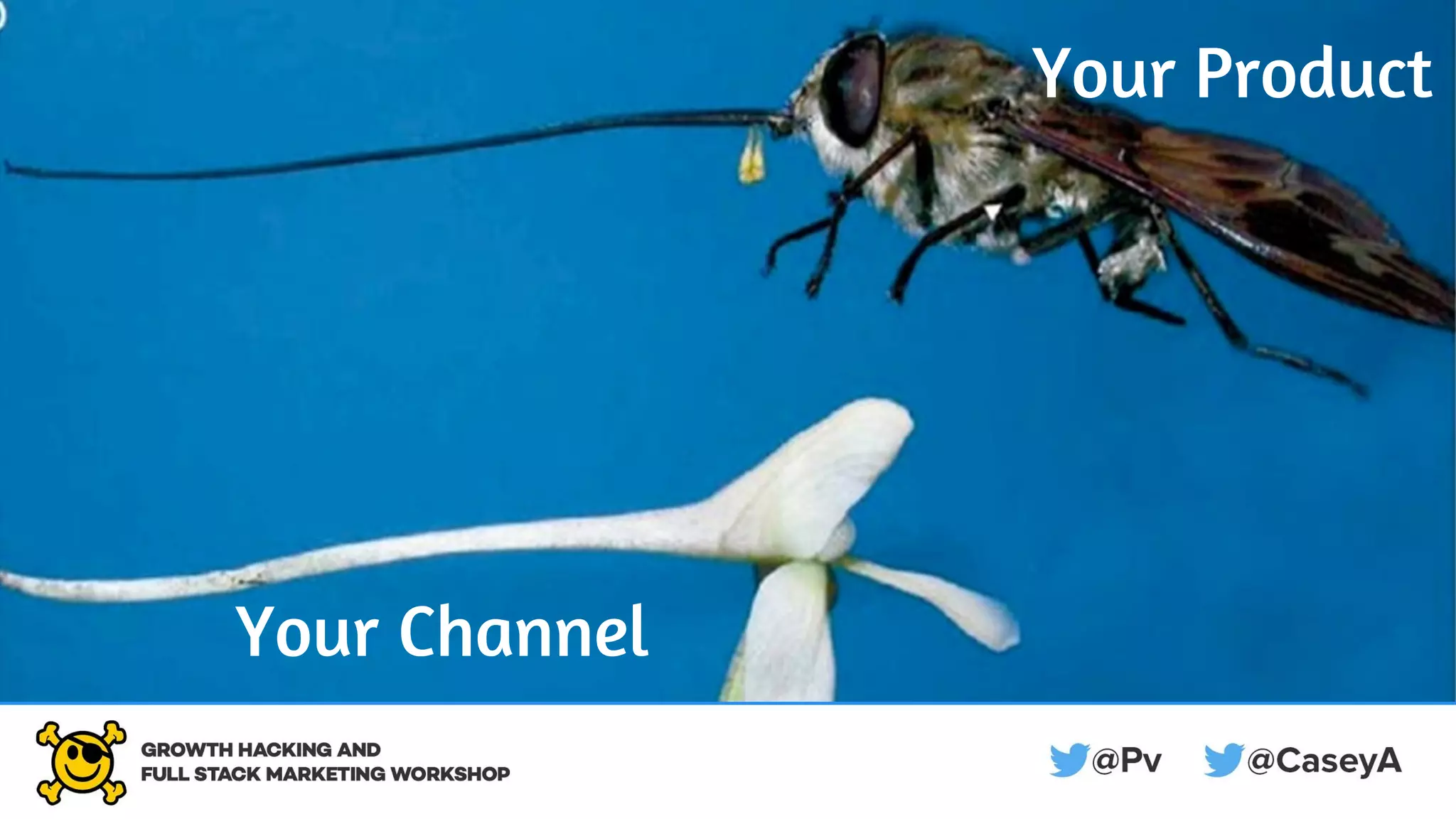 Your Product
Your Channel
 