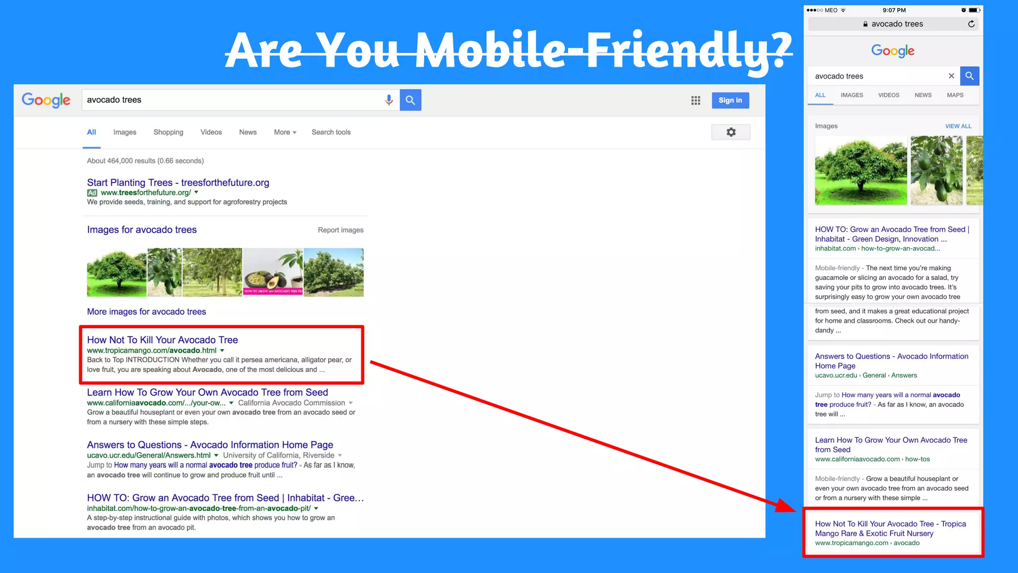 Are You Mobile-Friendly?
 