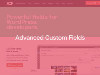 Advanced Custom Fields 
 