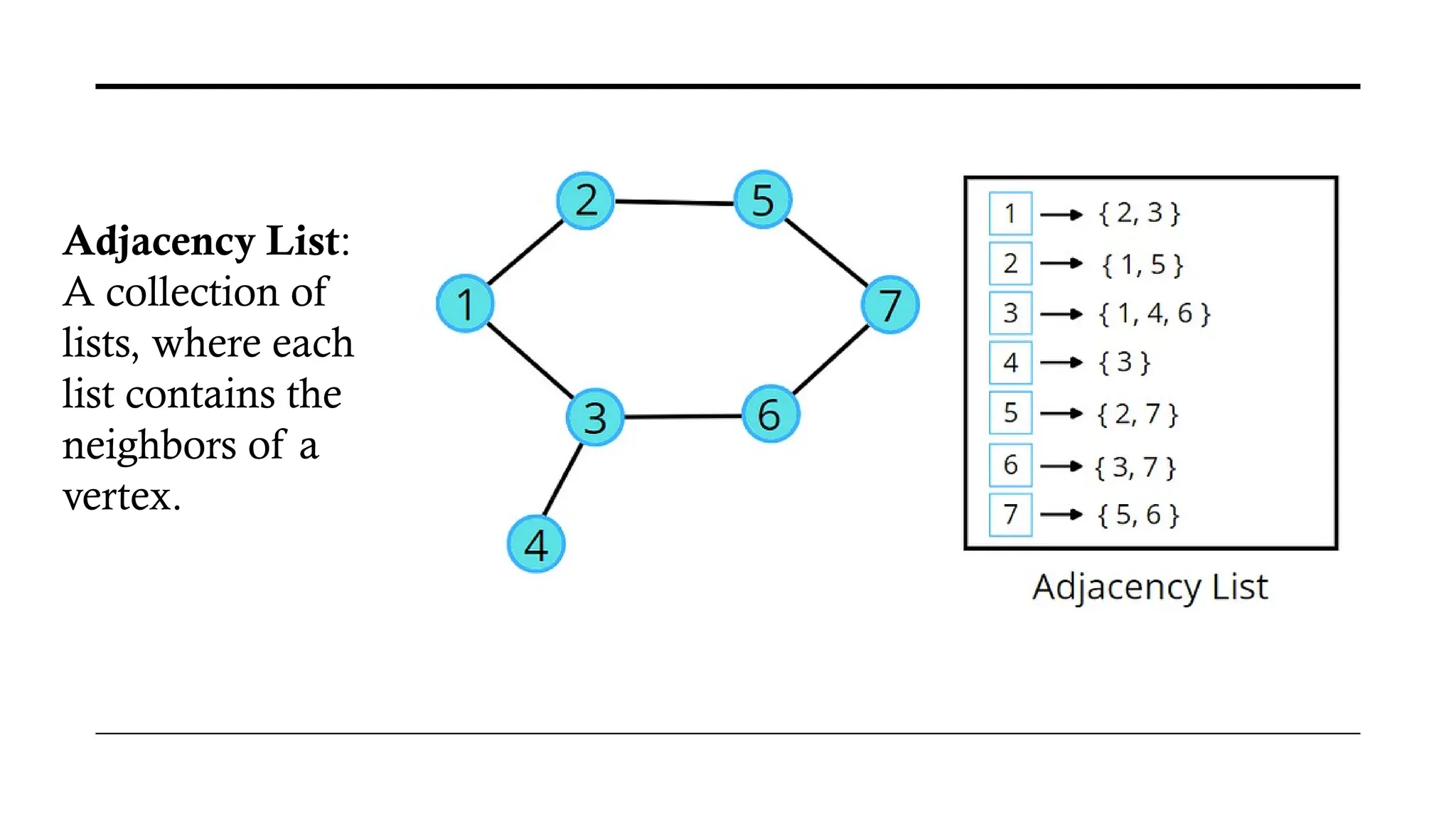 Adjacency List:
A collection of
lists, where each
list contains the
neighbors of a
vertex.
 