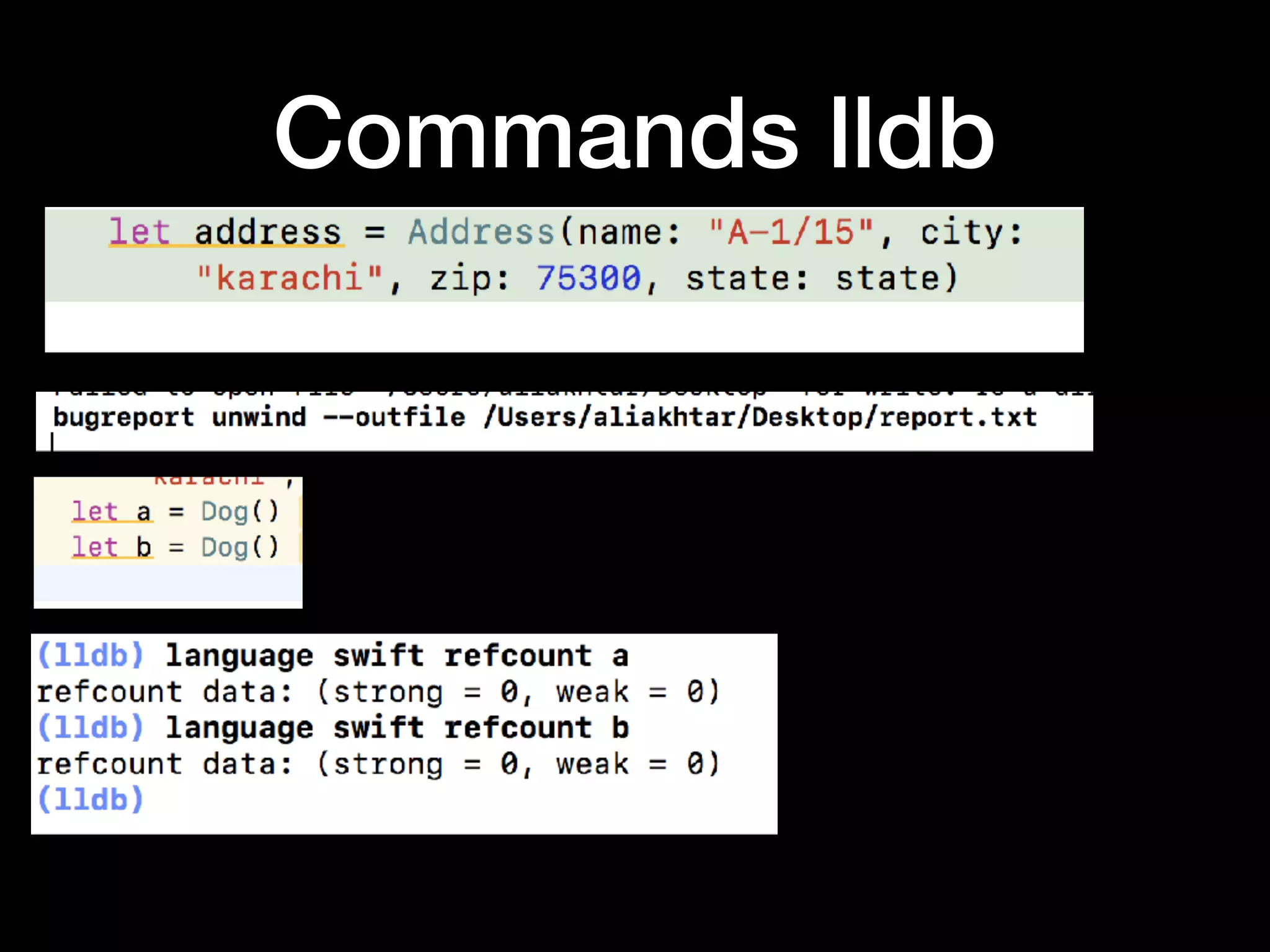 Commands lldb
 