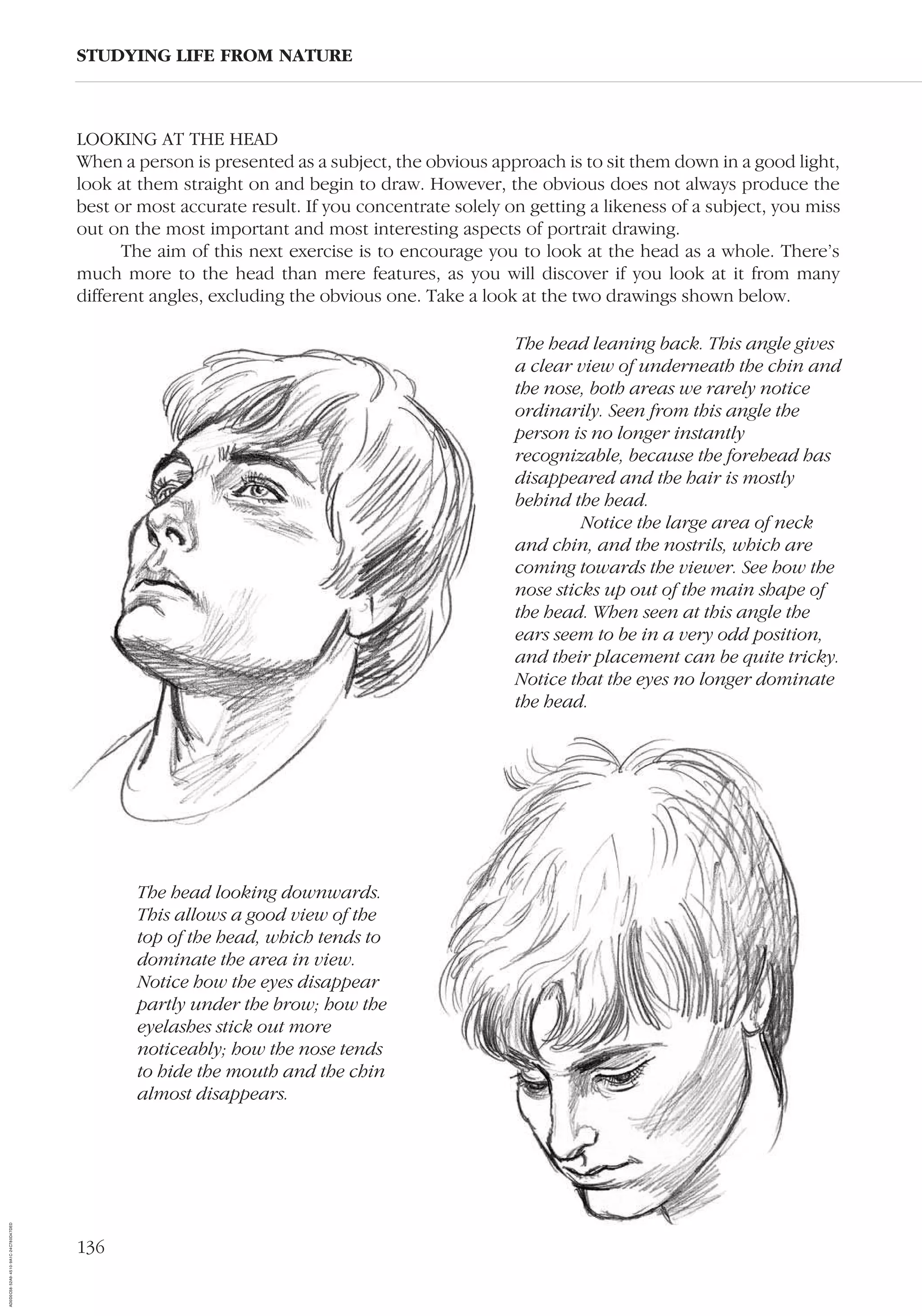 136
STUDYING LIFE FROM NATURE
The head looking downwards.
This allows a good view of the
top of the head, which tends to
dominate the area in view.
Notice how the eyes disappear
partly under the brow; how the
eyelashes stick out more
noticeably; how the nose tends
to hide the mouth and the chin
almost disappears.
The head leaning back. This angle gives
a clear view of underneath the chin and
the nose, both areas we rarely notice
ordinarily. Seen from this angle the
person is no longer instantly
recognizable, because the forehead has
disappeared and the hair is mostly
behind the head.
Notice the large area of neck
and chin, and the nostrils, which are
coming towards the viewer. See how the
nose sticks up out of the main shape of
the head. When seen at this angle the
ears seem to be in a very odd position,
and their placement can be quite tricky.
Notice that the eyes no longer dominate
the head.
LOOKING AT THE HEAD
When a person is presented as a subject, the obvious approach is to sit them down in a good light,
look at them straight on and begin to draw. However, the obvious does not always produce the
best or most accurate result. If you concentrate solely on getting a likeness of a subject, you miss
out on the most important and most interesting aspects of portrait drawing.
The aim of this next exercise is to encourage you to look at the head as a whole. There’s
much more to the head than mere features, as you will discover if you look at it from many
different angles, excluding the obvious one. Take a look at the two drawings shown below.
AD0D0C58-52A9-4510-9A1C-24C780D47DED
 