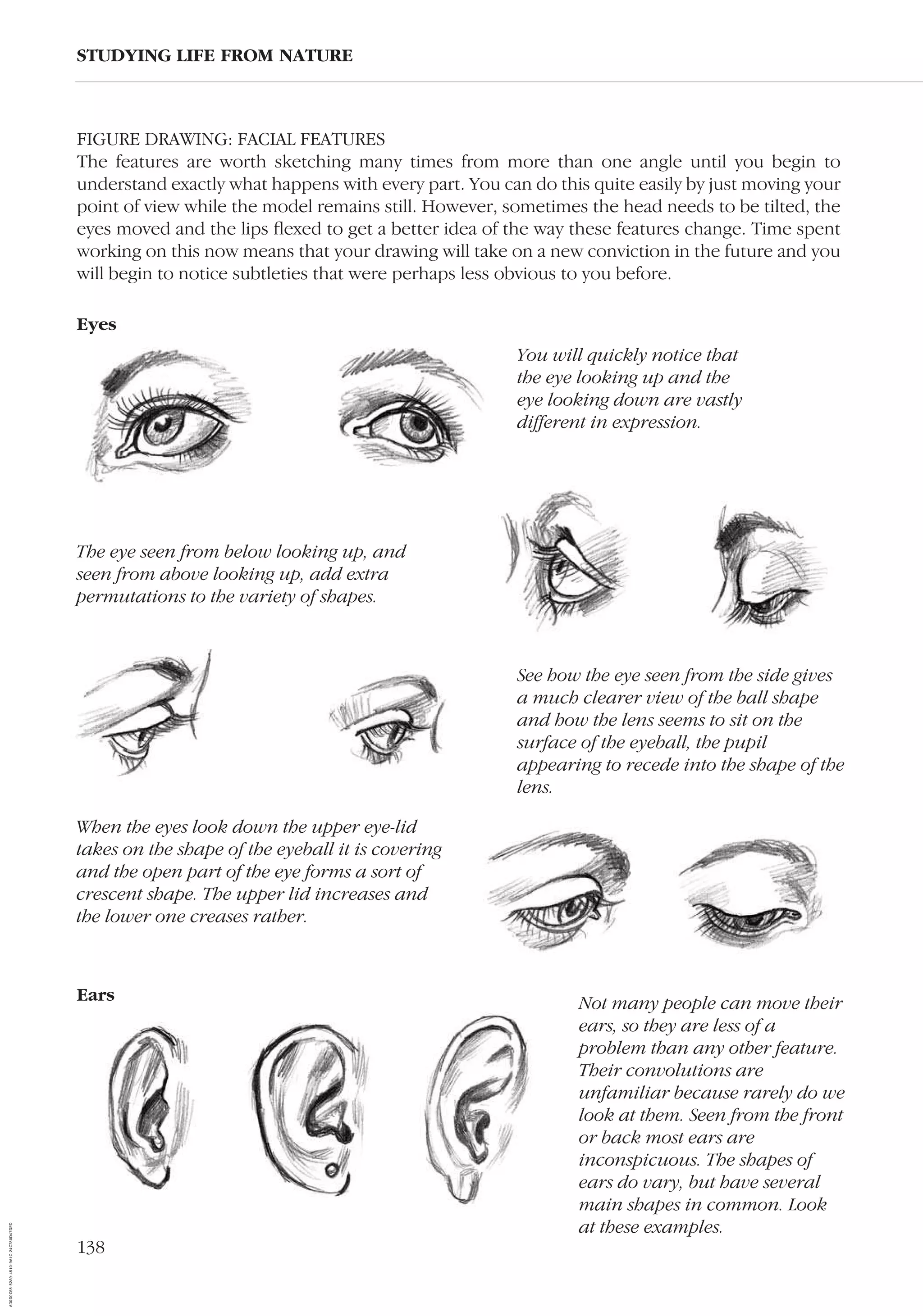 138
STUDYING LIFE FROM NATURE
FIGURE DRAWING: FACIAL FEATURES
The features are worth sketching many times from more than one angle until you begin to
understand exactly what happens with every part. You can do this quite easily by just moving your
point of view while the model remains still. However, sometimes the head needs to be tilted, the
eyes moved and the lips ﬂexed to get a better idea of the way these features change. Time spent
working on this now means that your drawing will take on a new conviction in the future and you
will begin to notice subtleties that were perhaps less obvious to you before.
When the eyes look down the upper eye-lid
takes on the shape of the eyeball it is covering
and the open part of the eye forms a sort of
crescent shape. The upper lid increases and
the lower one creases rather.
Eyes
You will quickly notice that
the eye looking up and the
eye looking down are vastly
different in expression.
The eye seen from below looking up, and
seen from above looking up, add extra
permutations to the variety of shapes.
See how the eye seen from the side gives
a much clearer view of the ball shape
and how the lens seems to sit on the
surface of the eyeball, the pupil
appearing to recede into the shape of the
lens.
Not many people can move their
ears, so they are less of a
problem than any other feature.
Their convolutions are
unfamiliar because rarely do we
look at them. Seen from the front
or back most ears are
inconspicuous. The shapes of
ears do vary, but have several
main shapes in common. Look
at these examples.
Ears
AD0D0C58-52A9-4510-9A1C-24C780D47DED
 
