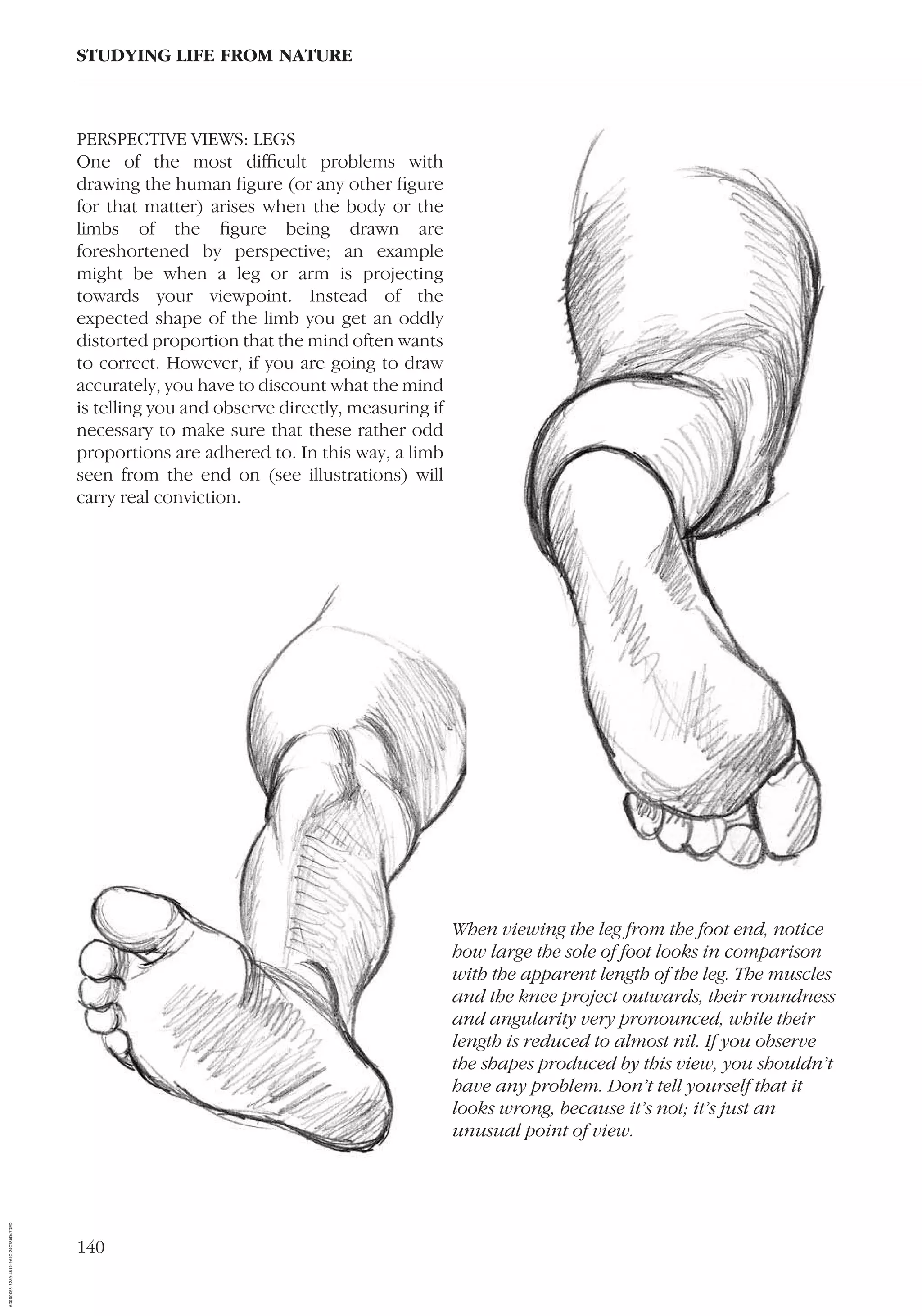 140
PERSPECTIVE VIEWS: LEGS
One of the most difﬁcult problems with
drawing the human ﬁgure (or any other ﬁgure
for that matter) arises when the body or the
limbs of the ﬁgure being drawn are
foreshortened by perspective; an example
might be when a leg or arm is projecting
towards your viewpoint. Instead of the
expected shape of the limb you get an oddly
distorted proportion that the mind often wants
to correct. However, if you are going to draw
accurately, you have to discount what the mind
is telling you and observe directly, measuring if
necessary to make sure that these rather odd
proportions are adhered to. In this way, a limb
seen from the end on (see illustrations) will
carry real conviction.
STUDYING LIFE FROM NATURE
When viewing the leg from the foot end, notice
how large the sole of foot looks in comparison
with the apparent length of the leg. The muscles
and the knee project outwards, their roundness
and angularity very pronounced, while their
length is reduced to almost nil. If you observe
the shapes produced by this view, you shouldn’t
have any problem. Don’t tell yourself that it
looks wrong, because it’s not; it’s just an
unusual point of view.
AD0D0C58-52A9-4510-9A1C-24C780D47DED
 