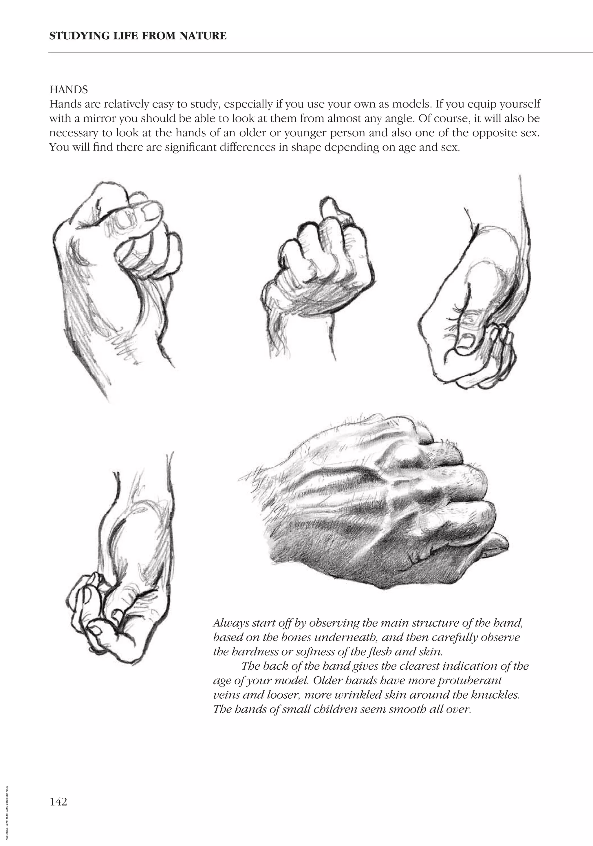 142
STUDYING LIFE FROM NATURE
HANDS
Hands are relatively easy to study, especially if you use your own as models. If you equip yourself
with a mirror you should be able to look at them from almost any angle. Of course, it will also be
necessary to look at the hands of an older or younger person and also one of the opposite sex.
You will ﬁnd there are signiﬁcant differences in shape depending on age and sex.
Always start off by observing the main structure of the hand,
based on the bones underneath, and then carefully observe
the hardness or softness of the ﬂesh and skin.
The back of the hand gives the clearest indication of the
age of your model. Older hands have more protuberant
veins and looser, more wrinkled skin around the knuckles.
The hands of small children seem smooth all over.
AD0D0C58-52A9-4510-9A1C-24C780D47DED
 
