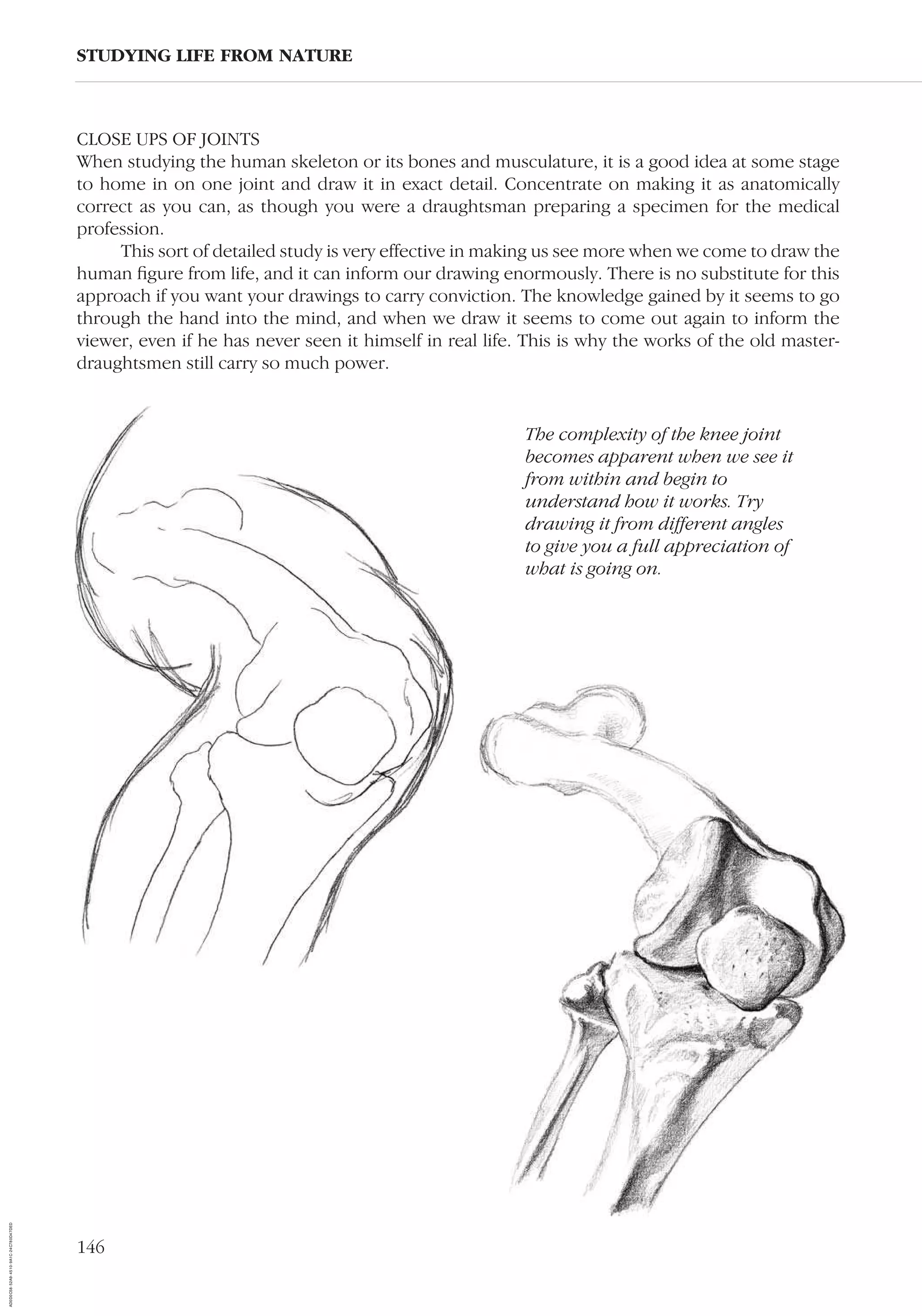 146
STUDYING LIFE FROM NATURE
The complexity of the knee joint
becomes apparent when we see it
from within and begin to
understand how it works. Try
drawing it from different angles
to give you a full appreciation of
what is going on.
CLOSE UPS OF JOINTS
When studying the human skeleton or its bones and musculature, it is a good idea at some stage
to home in on one joint and draw it in exact detail. Concentrate on making it as anatomically
correct as you can, as though you were a draughtsman preparing a specimen for the medical
profession.
This sort of detailed study is very effective in making us see more when we come to draw the
human ﬁgure from life, and it can inform our drawing enormously. There is no substitute for this
approach if you want your drawings to carry conviction. The knowledge gained by it seems to go
through the hand into the mind, and when we draw it seems to come out again to inform the
viewer, even if he has never seen it himself in real life. This is why the works of the old master-
draughtsmen still carry so much power.
AD0D0C58-52A9-4510-9A1C-24C780D47DED
 