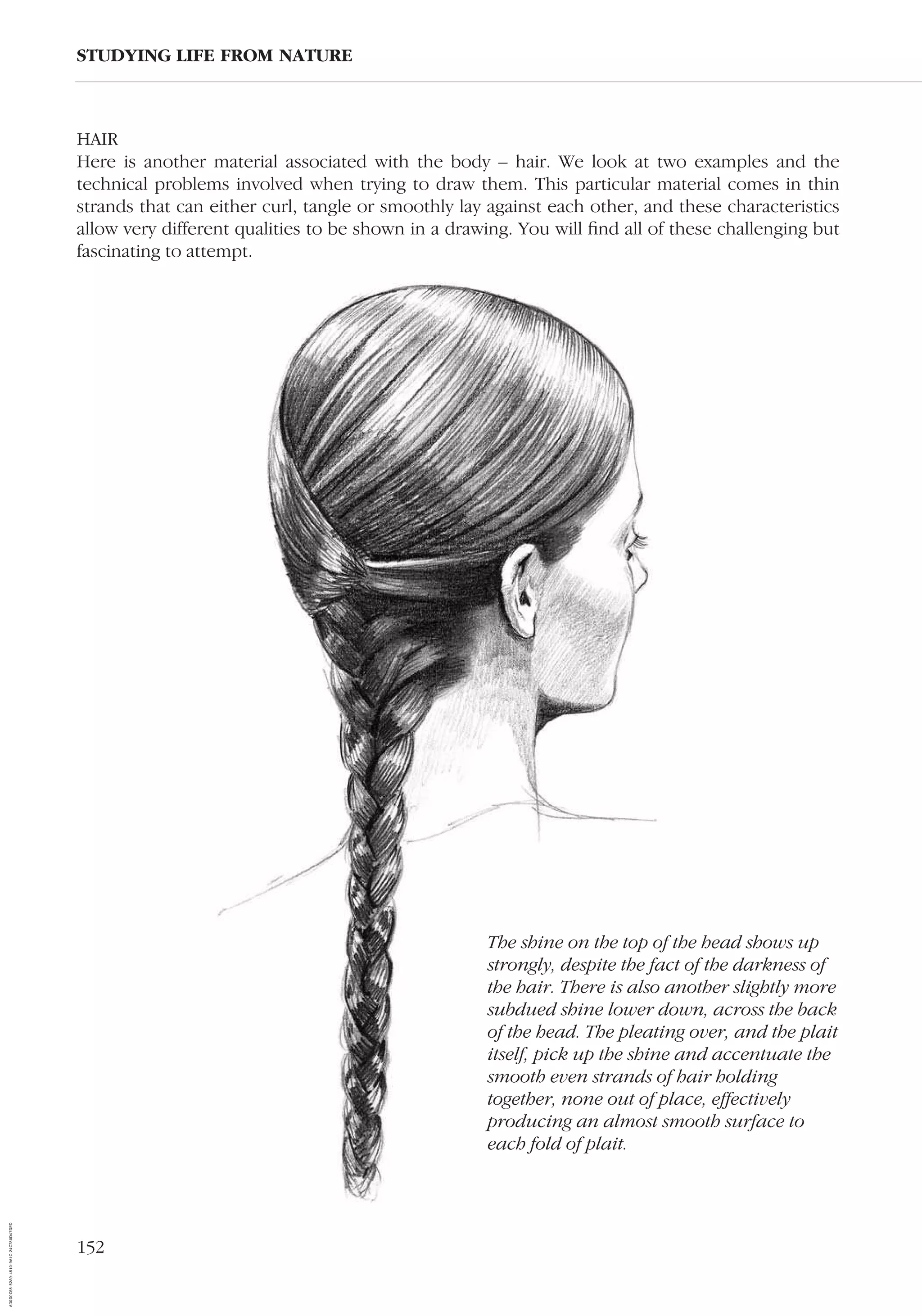 152
STUDYING LIFE FROM NATURE
The shine on the top of the head shows up
strongly, despite the fact of the darkness of
the hair. There is also another slightly more
subdued shine lower down, across the back
of the head. The pleating over, and the plait
itself, pick up the shine and accentuate the
smooth even strands of hair holding
together, none out of place, effectively
producing an almost smooth surface to
each fold of plait.
HAIR
Here is another material associated with the body – hair. We look at two examples and the
technical problems involved when trying to draw them. This particular material comes in thin
strands that can either curl, tangle or smoothly lay against each other, and these characteristics
allow very different qualities to be shown in a drawing. You will ﬁnd all of these challenging but
fascinating to attempt.
AD0D0C58-52A9-4510-9A1C-24C780D47DED
 