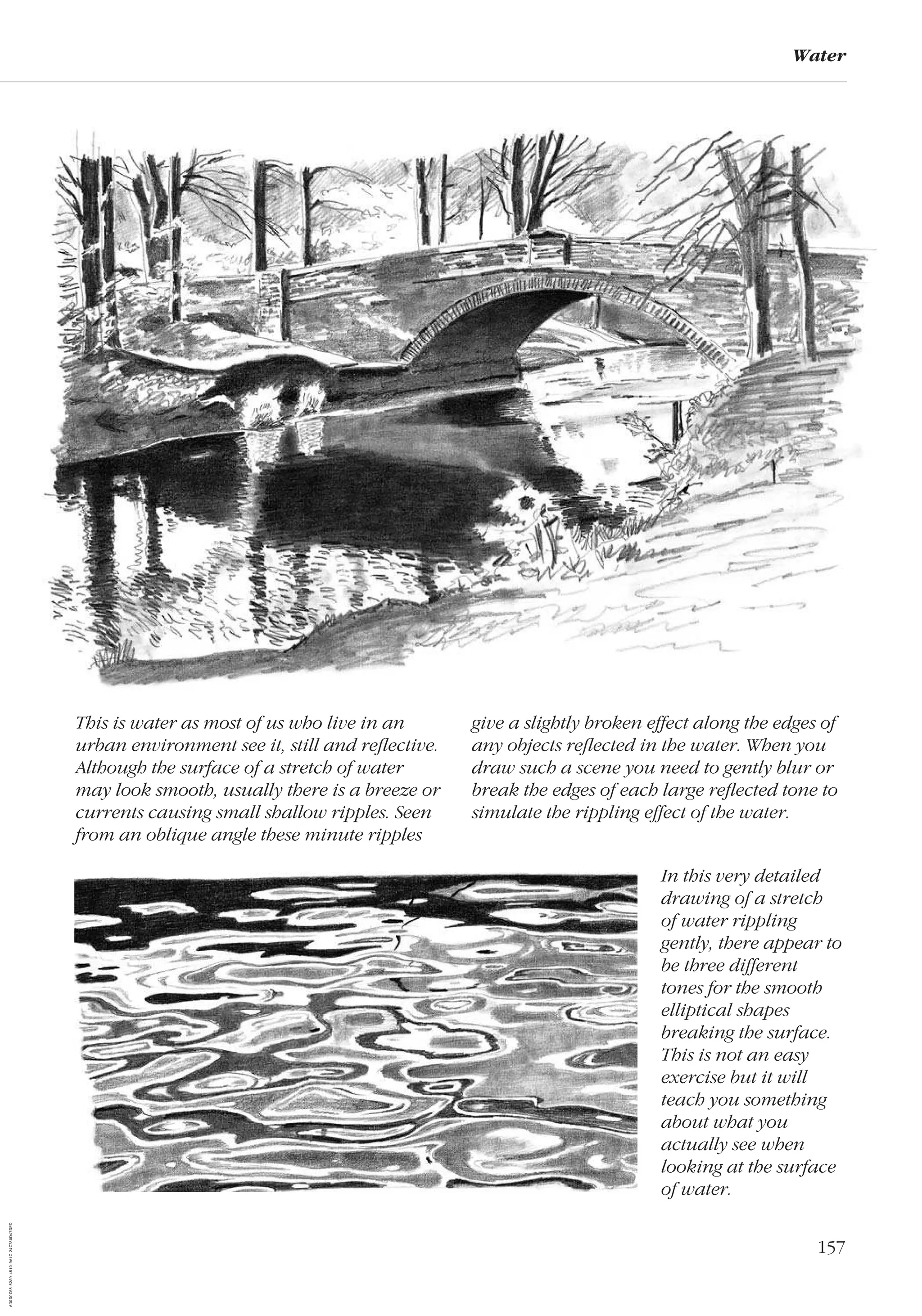 157
Water
This is water as most of us who live in an
urban environment see it, still and reﬂective.
Although the surface of a stretch of water
may look smooth, usually there is a breeze or
currents causing small shallow ripples. Seen
from an oblique angle these minute ripples
give a slightly broken effect along the edges of
any objects reﬂected in the water. When you
draw such a scene you need to gently blur or
break the edges of each large reﬂected tone to
simulate the rippling effect of the water.
In this very detailed
drawing of a stretch
of water rippling
gently, there appear to
be three different
tones for the smooth
elliptical shapes
breaking the surface.
This is not an easy
exercise but it will
teach you something
about what you
actually see when
looking at the surface
of water.
AD0D0C58-52A9-4510-9A1C-24C780D47DED
 