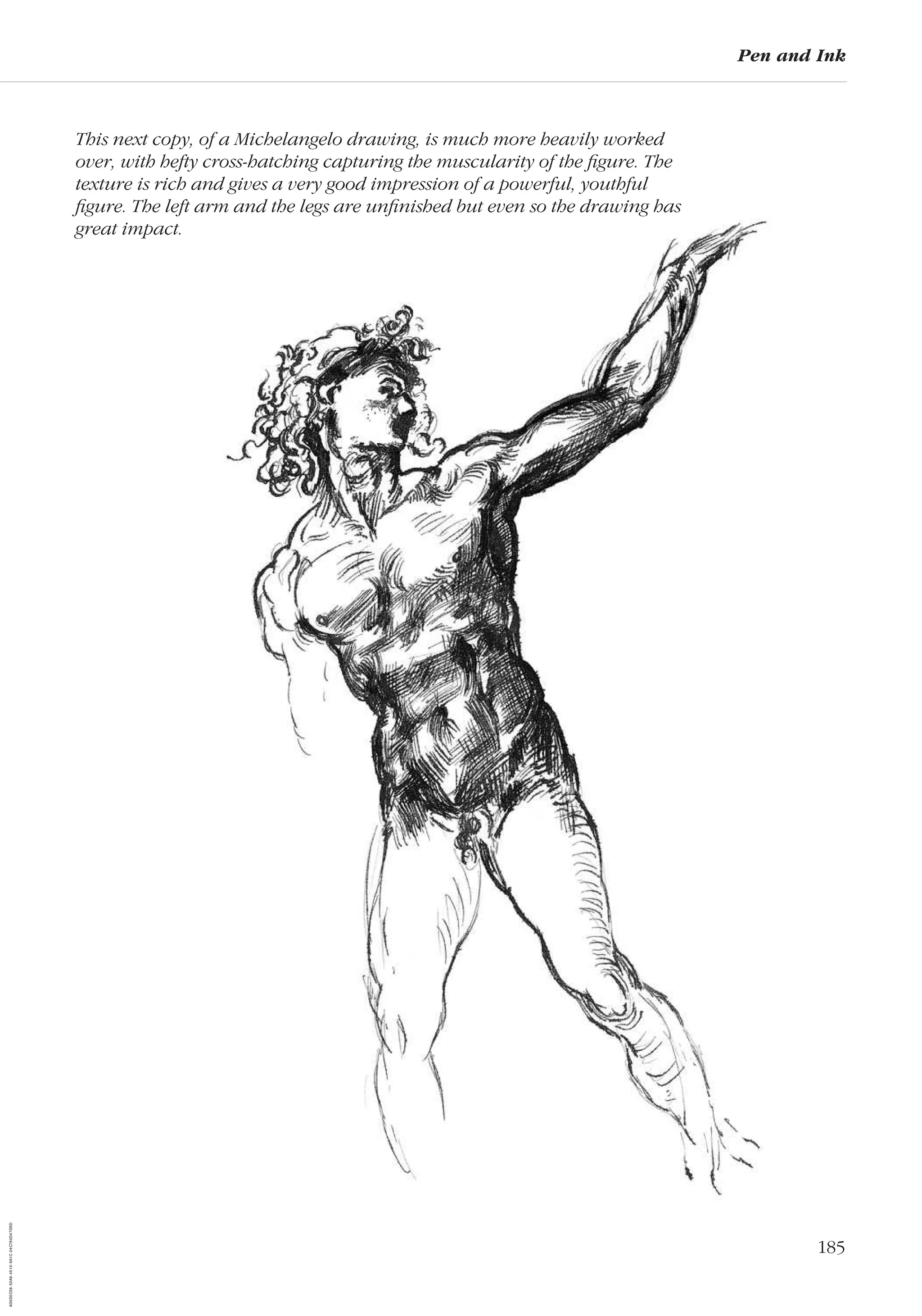 185
Pen and Ink
This next copy, of a Michelangelo drawing, is much more heavily worked
over, with hefty cross-hatching capturing the muscularity of the ﬁgure. The
texture is rich and gives a very good impression of a powerful, youthful
ﬁgure. The left arm and the legs are unﬁnished but even so the drawing has
great impact.
AD0D0C58-52A9-4510-9A1C-24C780D47DED
 