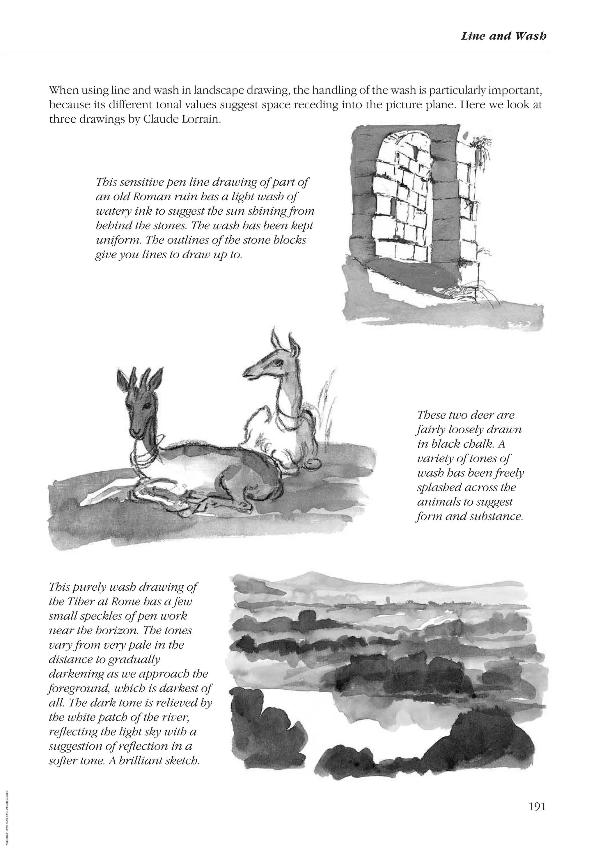191
Line and Wash
When using line and wash in landscape drawing, the handling of the wash is particularly important,
because its different tonal values suggest space receding into the picture plane. Here we look at
three drawings by Claude Lorrain.
These two deer are
fairly loosely drawn
in black chalk. A
variety of tones of
wash has been freely
splashed across the
animals to suggest
form and substance.
This sensitive pen line drawing of part of
an old Roman ruin has a light wash of
watery ink to suggest the sun shining from
behind the stones. The wash has been kept
uniform. The outlines of the stone blocks
give you lines to draw up to.
This purely wash drawing of
the Tiber at Rome has a few
small speckles of pen work
near the horizon. The tones
vary from very pale in the
distance to gradually
darkening as we approach the
foreground, which is darkest of
all. The dark tone is relieved by
the white patch of the river,
reﬂecting the light sky with a
suggestion of reﬂection in a
softer tone. A brilliant sketch.
AD0D0C58-52A9-4510-9A1C-24C780D47DED
 