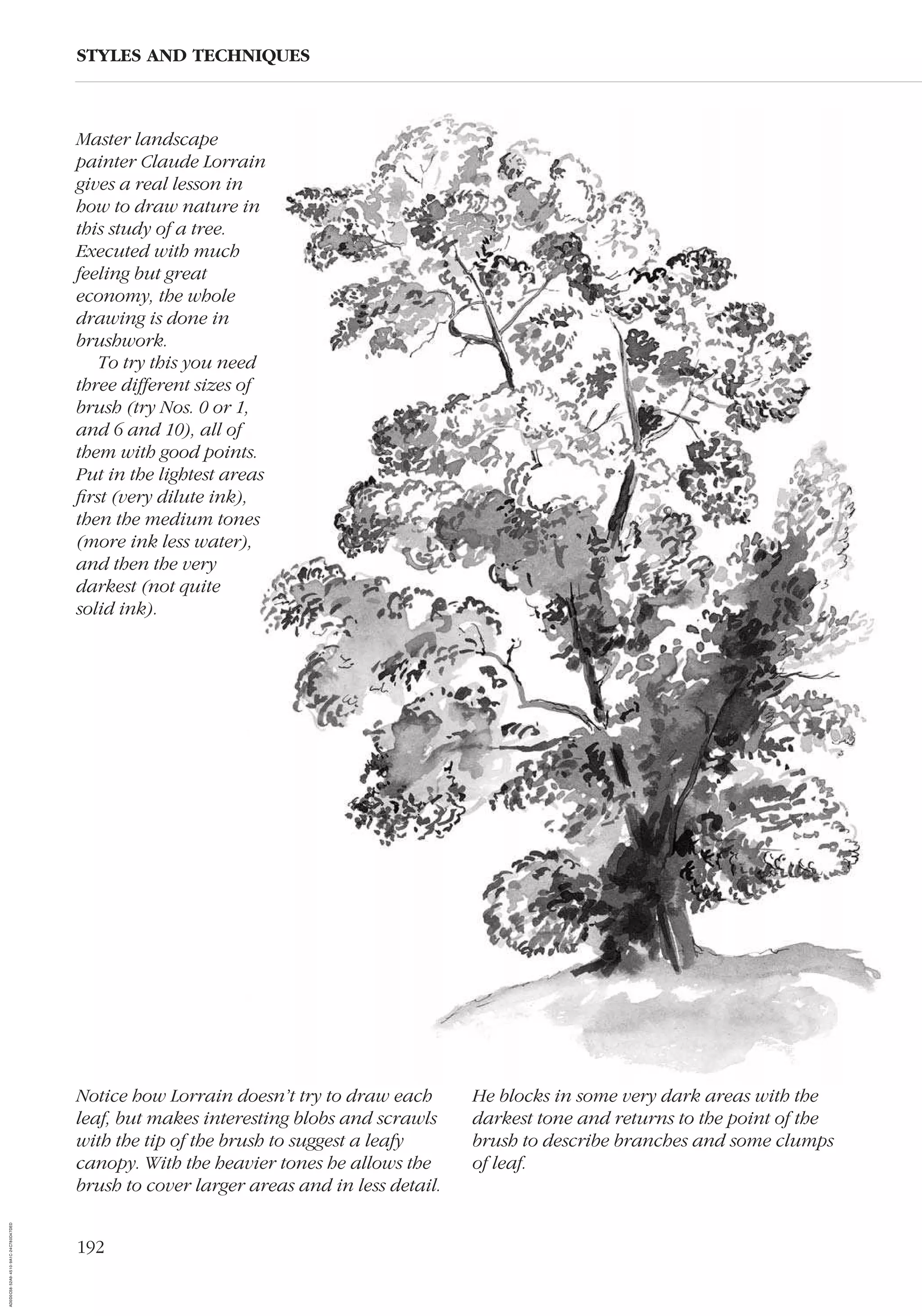 192
STYLES AND TECHNIQUES
Master landscape
painter Claude Lorrain
gives a real lesson in
how to draw nature in
this study of a tree.
Executed with much
feeling but great
economy, the whole
drawing is done in
brushwork.
To try this you need
three different sizes of
brush (try Nos. 0 or 1,
and 6 and 10), all of
them with good points.
Put in the lightest areas
ﬁrst (very dilute ink),
then the medium tones
(more ink less water),
and then the very
darkest (not quite
solid ink).
Notice how Lorrain doesn’t try to draw each
leaf, but makes interesting blobs and scrawls
with the tip of the brush to suggest a leafy
canopy. With the heavier tones he allows the
brush to cover larger areas and in less detail.
He blocks in some very dark areas with the
darkest tone and returns to the point of the
brush to describe branches and some clumps
of leaf.
AD0D0C58-52A9-4510-9A1C-24C780D47DED
 