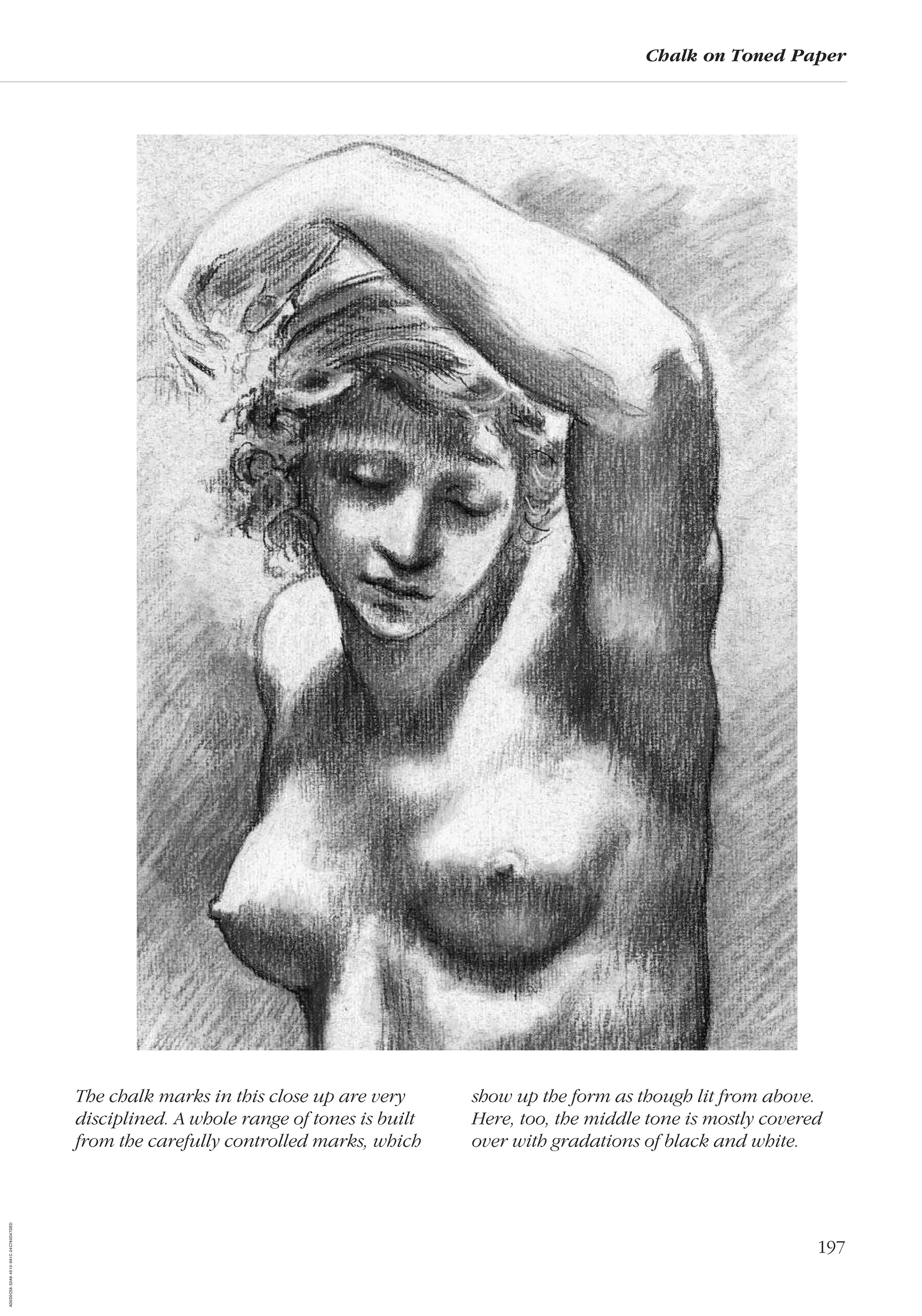 197
Chalk on Toned Paper
The chalk marks in this close up are very
disciplined. A whole range of tones is built
from the carefully controlled marks, which
show up the form as though lit from above.
Here, too, the middle tone is mostly covered
over with gradations of black and white.
AD0D0C58-52A9-4510-9A1C-24C780D47DED
 