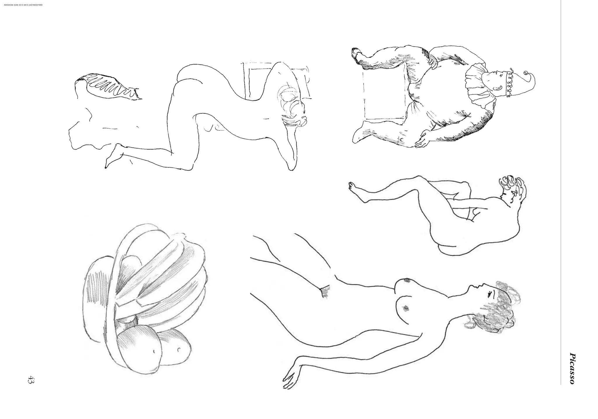 43
Picasso
AD0D0C58-52A9-4510-9A1C-24C780D47DED
 