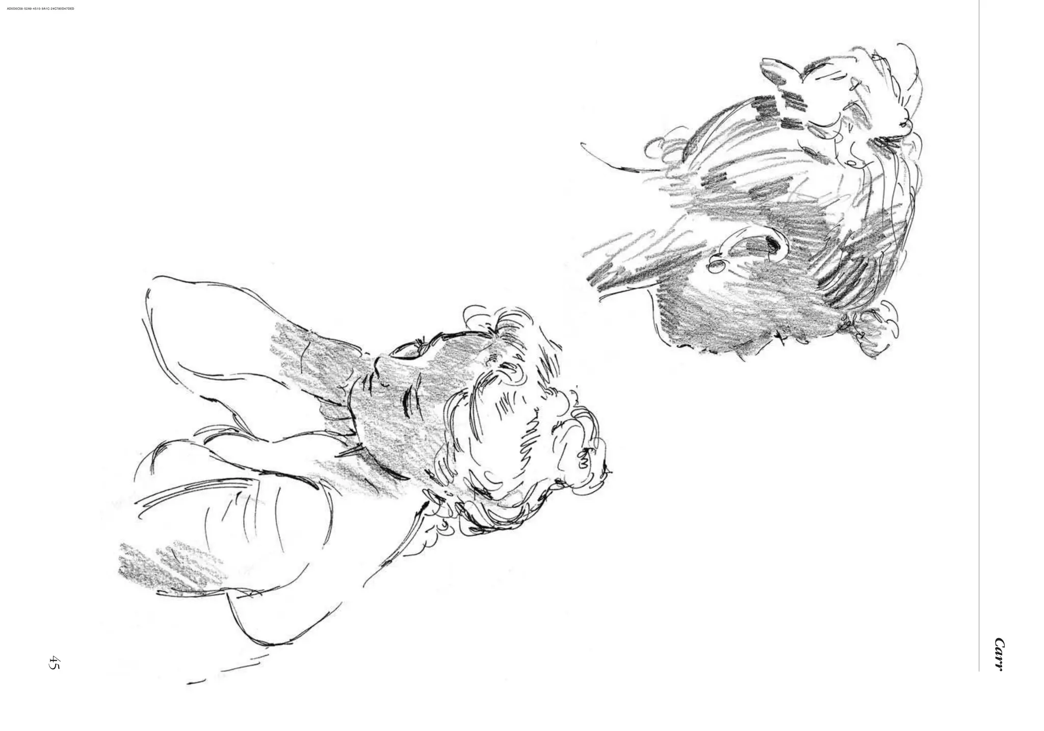 45
Carr
AD0D0C58-52A9-4510-9A1C-24C780D47DED
 