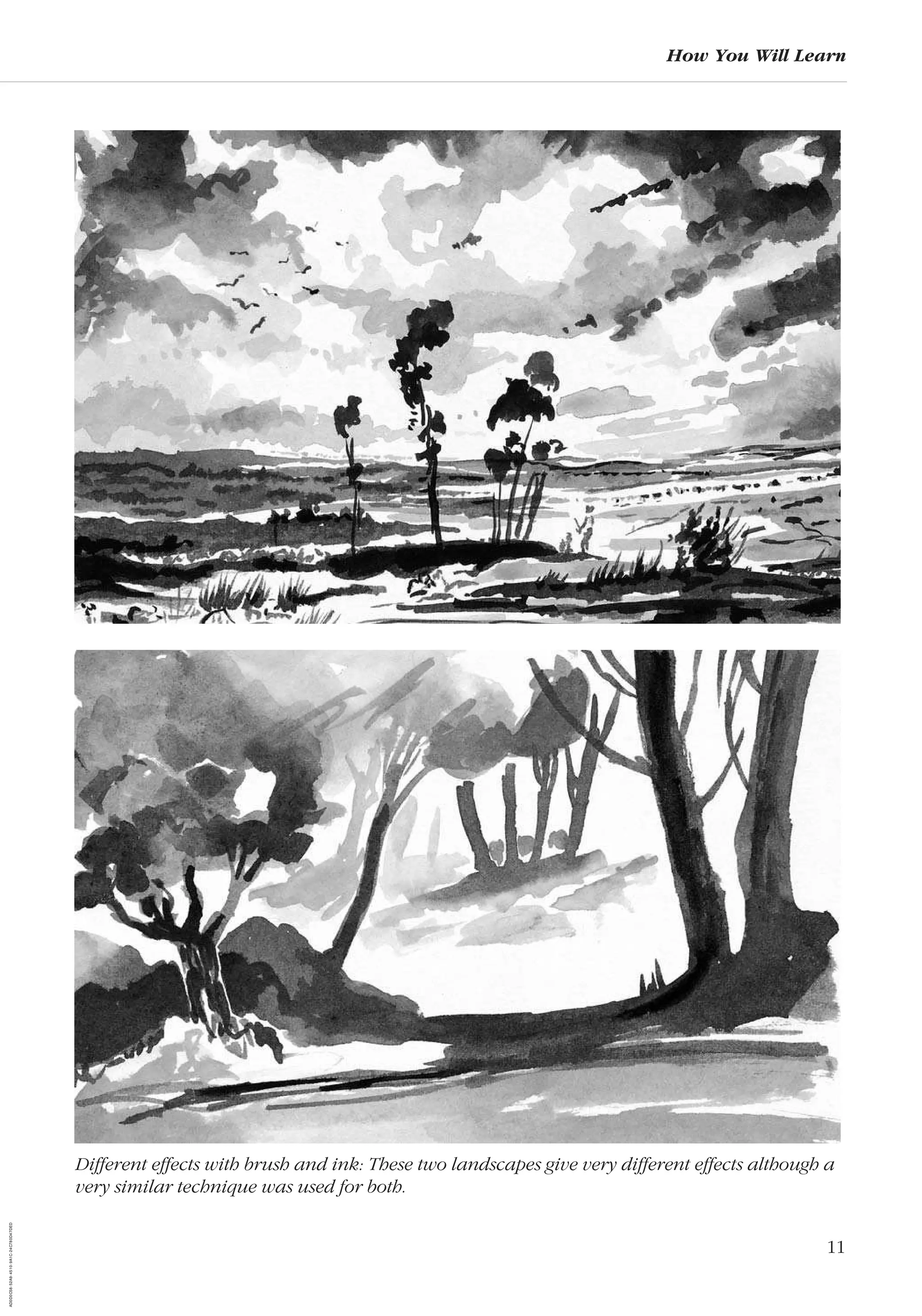 11
How You Will Learn
Different effects with brush and ink: These two landscapes give very different effects although a
very similar technique was used for both.
AD0D0C58-52A9-4510-9A1C-24C780D47DED
 