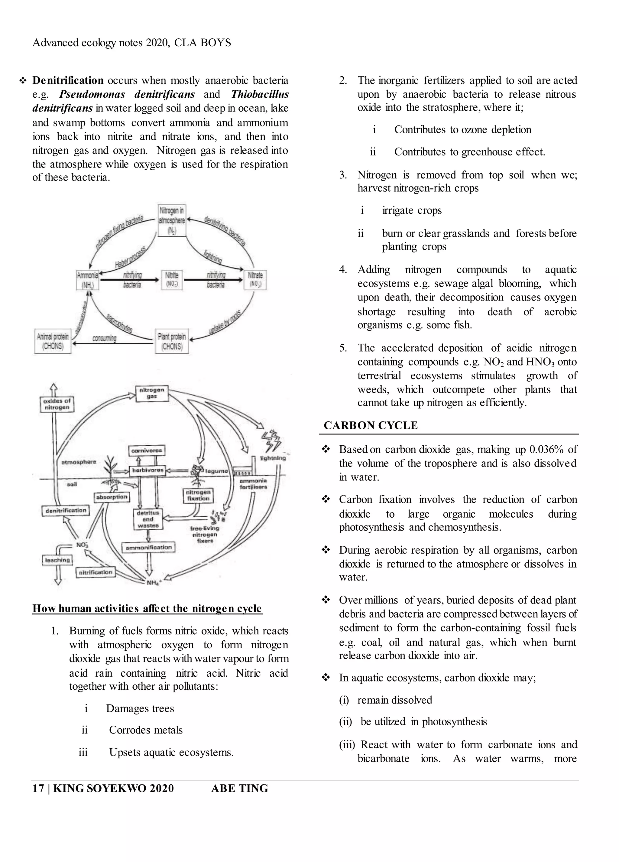 Advanced ecology notes 2020, CLA BOYS
17 | KING SOYEKWO 2020 ABE TING
 Denitrification occurs when mostly anaerobic bacteria
e.g. Pseudomonas denitrificans and Thiobacillus
denitrificans in water logged soil and deep in ocean, lake
and swamp bottoms convert ammonia and ammonium
ions back into nitrite and nitrate ions, and then into
nitrogen gas and oxygen. Nitrogen gas is released into
the atmosphere while oxygen is used for the respiration
of these bacteria.
How human activities affect the nitrogen cycle
1. Burning of fuels forms nitric oxide, which reacts
with atmospheric oxygen to form nitrogen
dioxide gas that reacts with water vapour to form
acid rain containing nitric acid. Nitric acid
together with other air pollutants:
i Damages trees
ii Corrodes metals
iii Upsets aquatic ecosystems.
2. The inorganic fertilizers applied to soil are acted
upon by anaerobic bacteria to release nitrous
oxide into the stratosphere, where it;
i Contributes to ozone depletion
ii Contributes to greenhouse effect.
3. Nitrogen is removed from top soil when we;
harvest nitrogen-rich crops
i irrigate crops
ii burn or clear grasslands and forests before
planting crops
4. Adding nitrogen compounds to aquatic
ecosystems e.g. sewage algal blooming, which
upon death, their decomposition causes oxygen
shortage resulting into death of aerobic
organisms e.g. some fish.
5. The accelerated deposition of acidic nitrogen
containing compounds e.g. NO2 and HNO3 onto
terrestrial ecosystems stimulates growth of
weeds, which outcompete other plants that
cannot take up nitrogen as efficiently.
CARBON CYCLE
 Based on carbon dioxide gas, making up 0.036% of
the volume of the troposphere and is also dissolved
in water.
 Carbon fixation involves the reduction of carbon
dioxide to large organic molecules during
photosynthesis and chemosynthesis.
 During aerobic respiration by all organisms, carbon
dioxide is returned to the atmosphere or dissolves in
water.
 Over millions of years, buried deposits of dead plant
debris and bacteria are compressed between layers of
sediment to form the carbon-containing fossil fuels
e.g. coal, oil and natural gas, which when burnt
release carbon dioxide into air.
 In aquatic ecosystems, carbon dioxide may;
(i) remain dissolved
(ii) be utilized in photosynthesis
(iii) React with water to form carbonate ions and
bicarbonate ions. As water warms, more
 