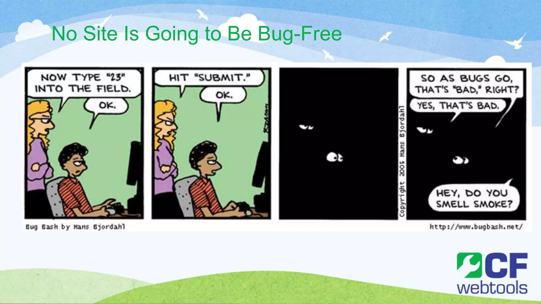 No Site Is Going to Be Bug-Free
 